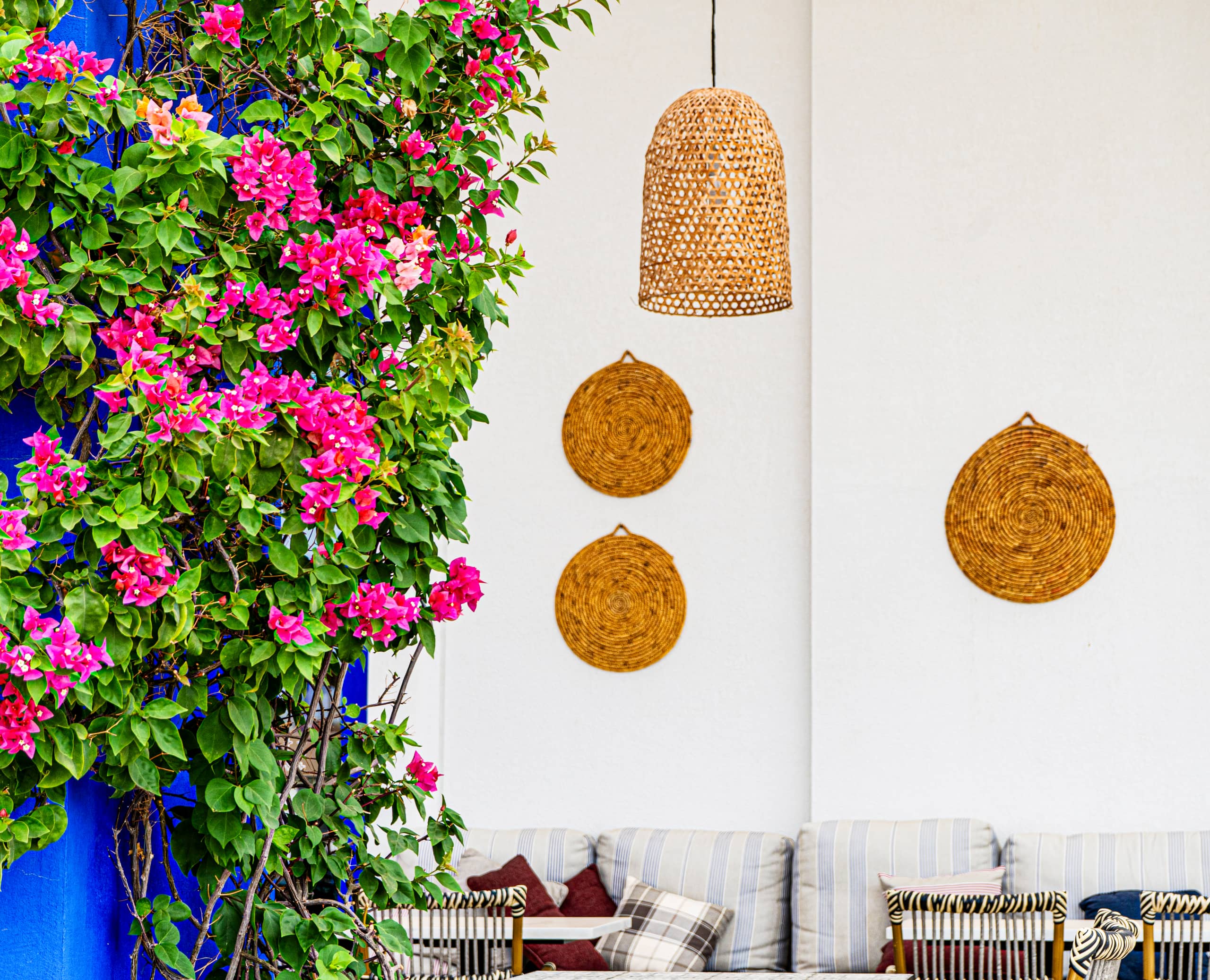 Aqaba Place Chares Wall Tree, a fine-art photograph by Ali Abu Ras