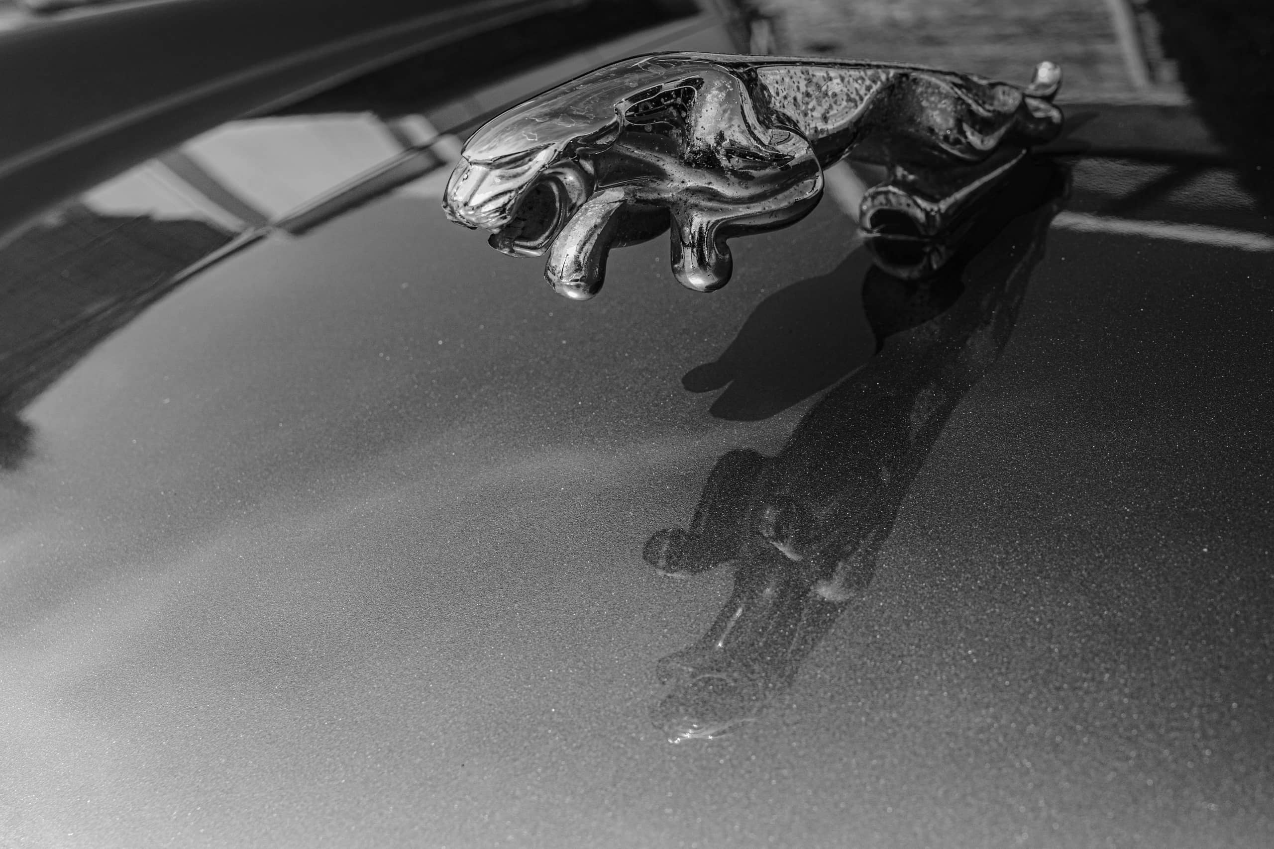 Cars 2, a fine-art photograph by Ali Abu Ras