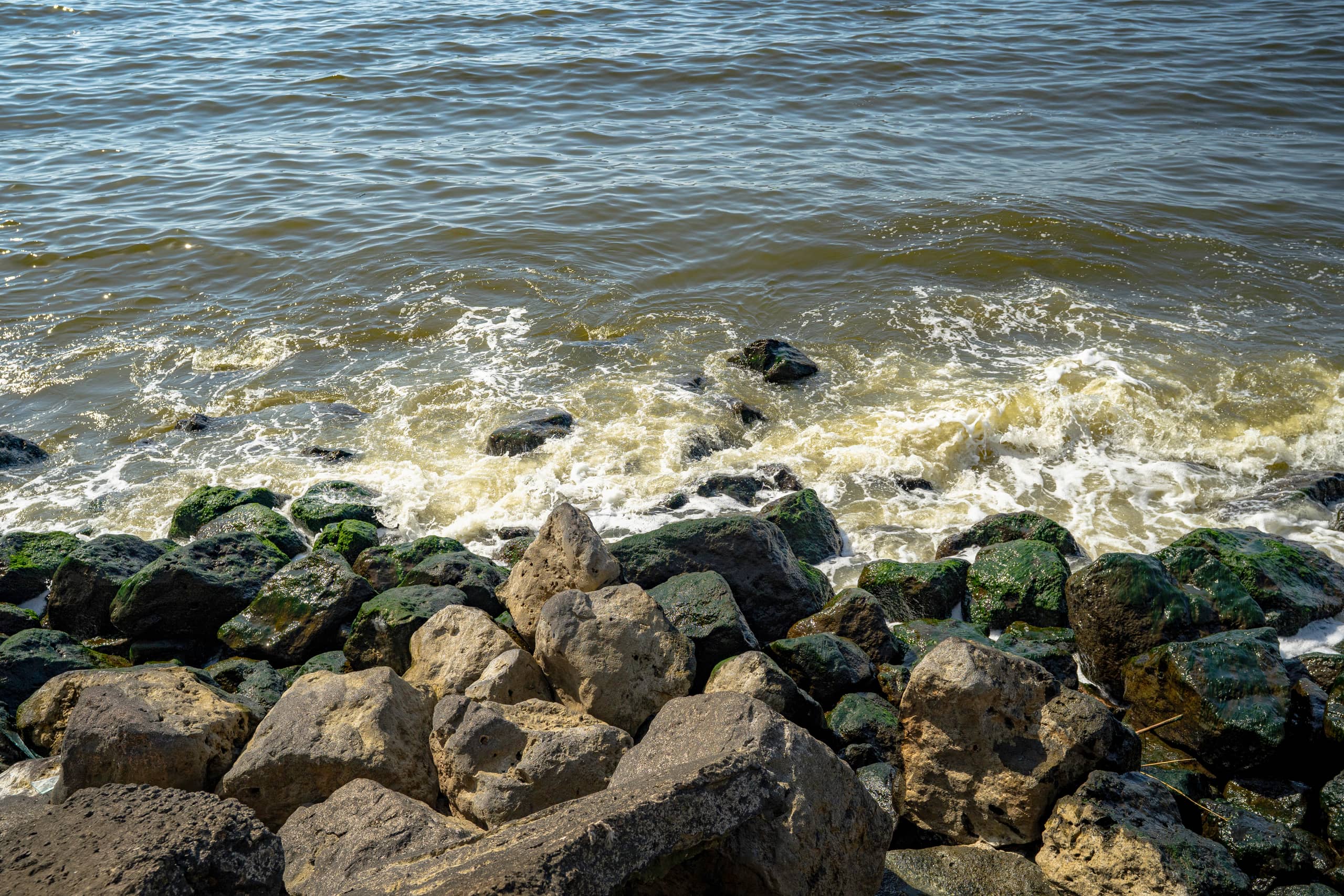 A close-up, high-angle view of ocean water washing over dark green, mossy rocks and large, jagged grey boulders along a shoreline, with white foam swirling in the shallows.