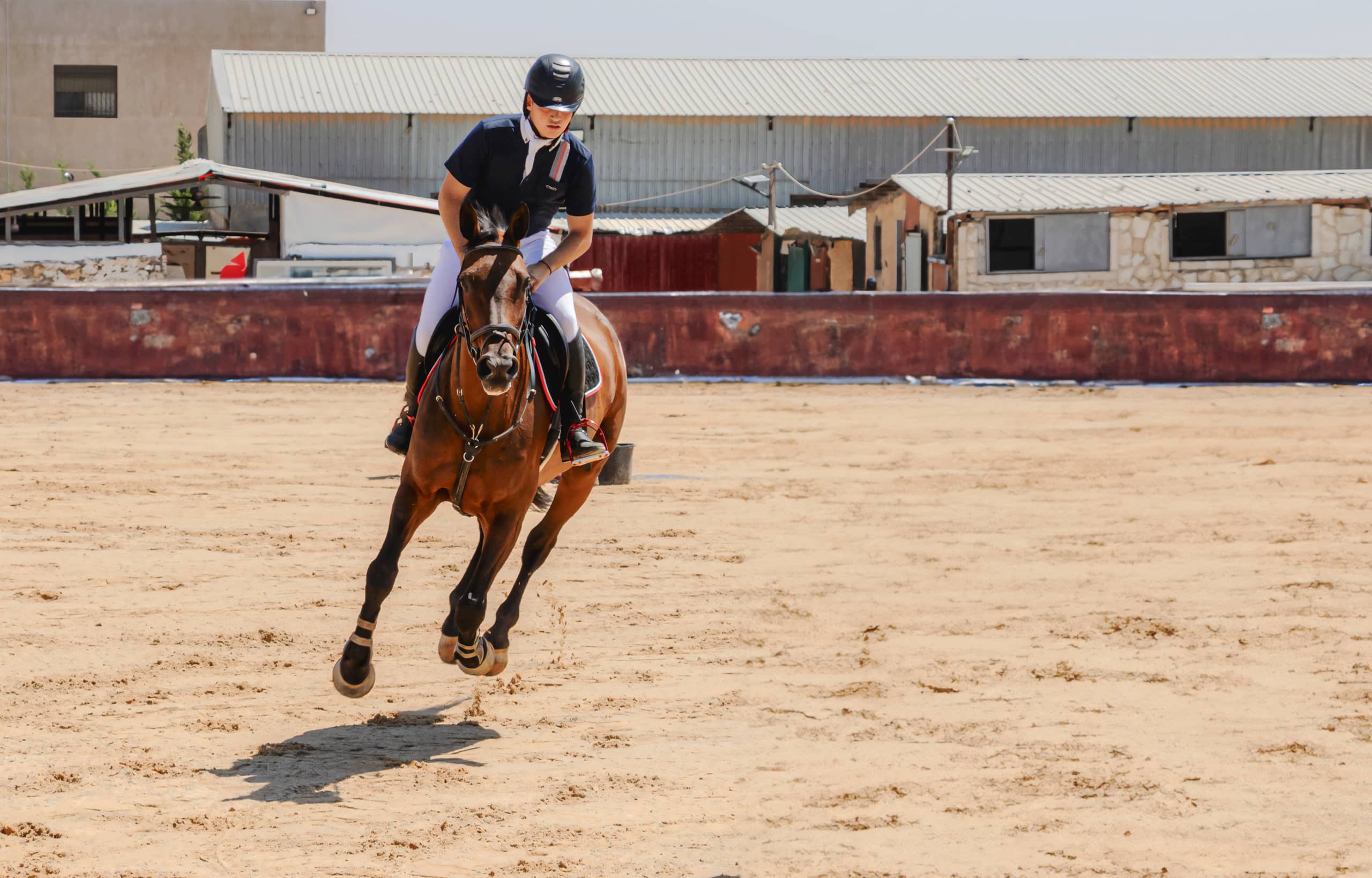 BOY Horse Riding, a fine-art photograph by Ali Abu Ras