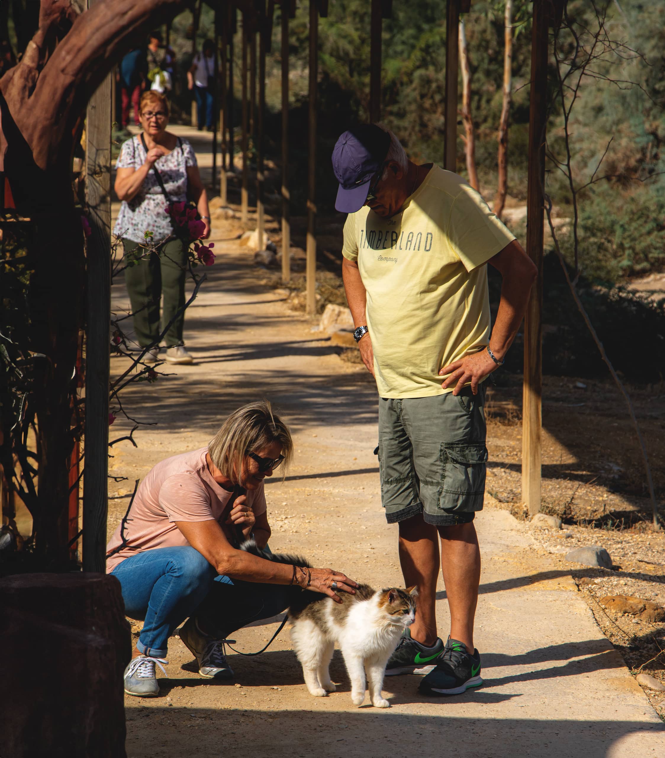 Madaba CAT Deadsea, a fine-art photograph by Ali Abu Ras