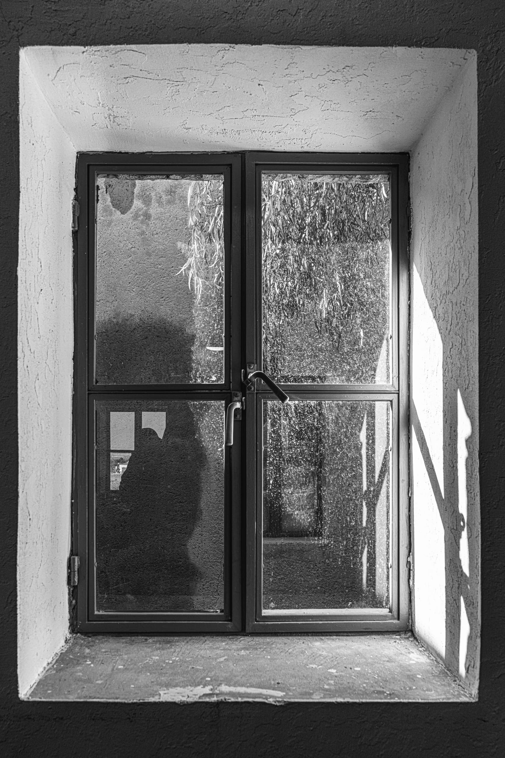 Black and white photograph of a deep-set multi-pane window with textured glass reflecting foliage and architectural elements, casting sharp sunlight and shadows across the thick plaster sill.