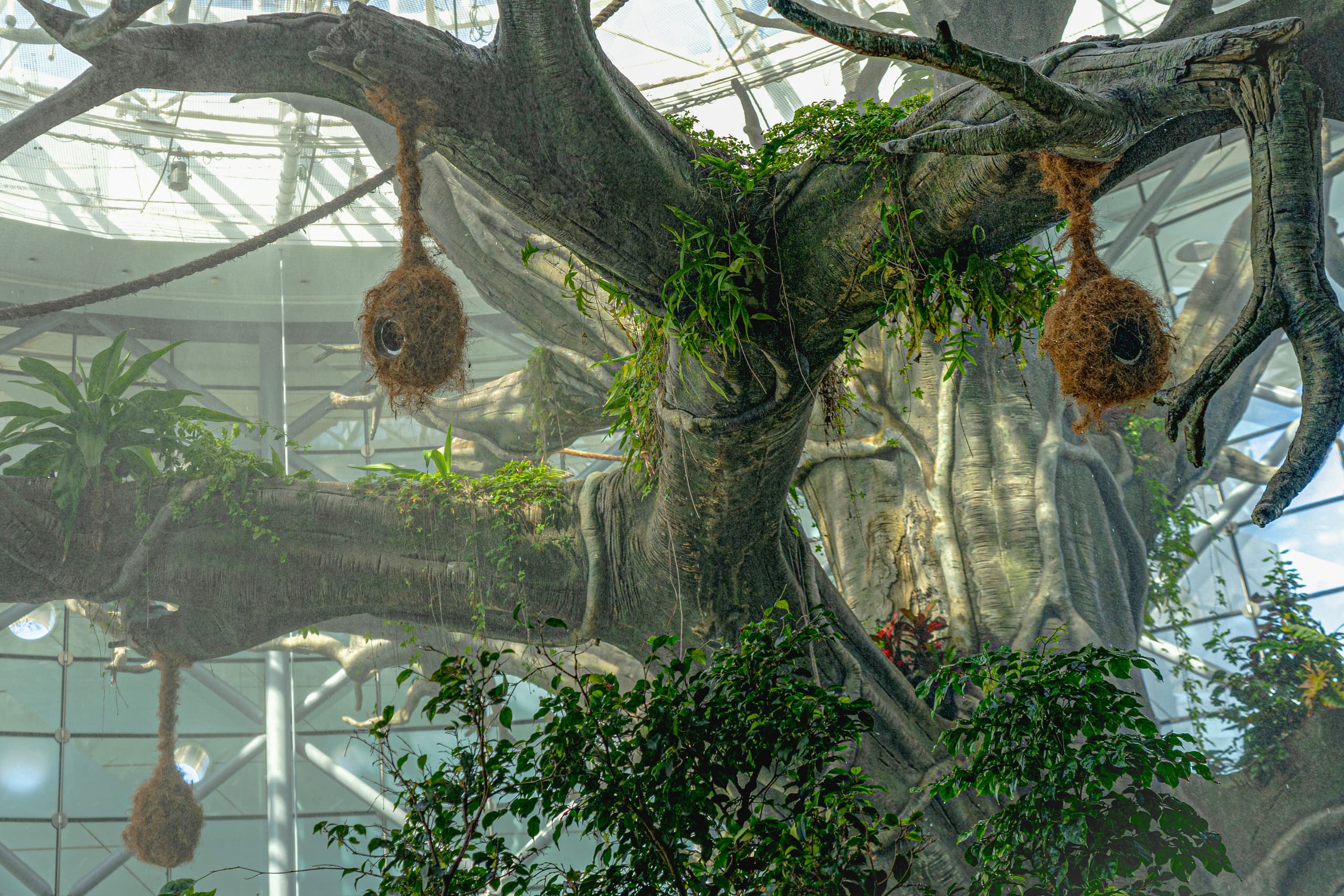 Low-angle view of a massive artificial tree structure with thick textured branches, hanging fibrous nests, and green foliage against an indoor glass and steel ceiling framework.