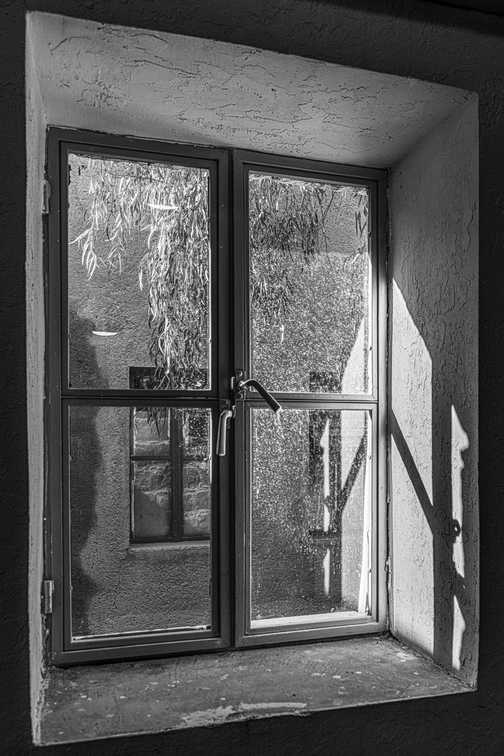 Monochrome interior view focusing on a multi-pane metal window set within a deep, textured concrete sill, with bright sunlight casting sharp shadows and reflecting external foliage across the glass.