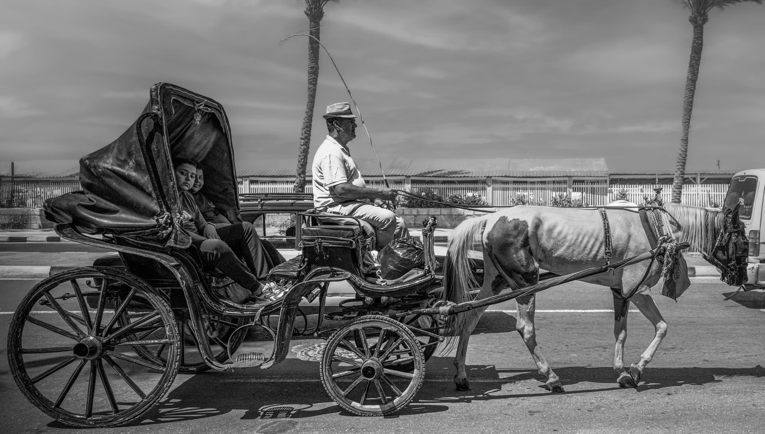 Monochrome street photograph of a horse-drawn carriage with a driver holding the reins and two passengers seated inside, moving along an asphalt road with tall palm trees in the background.