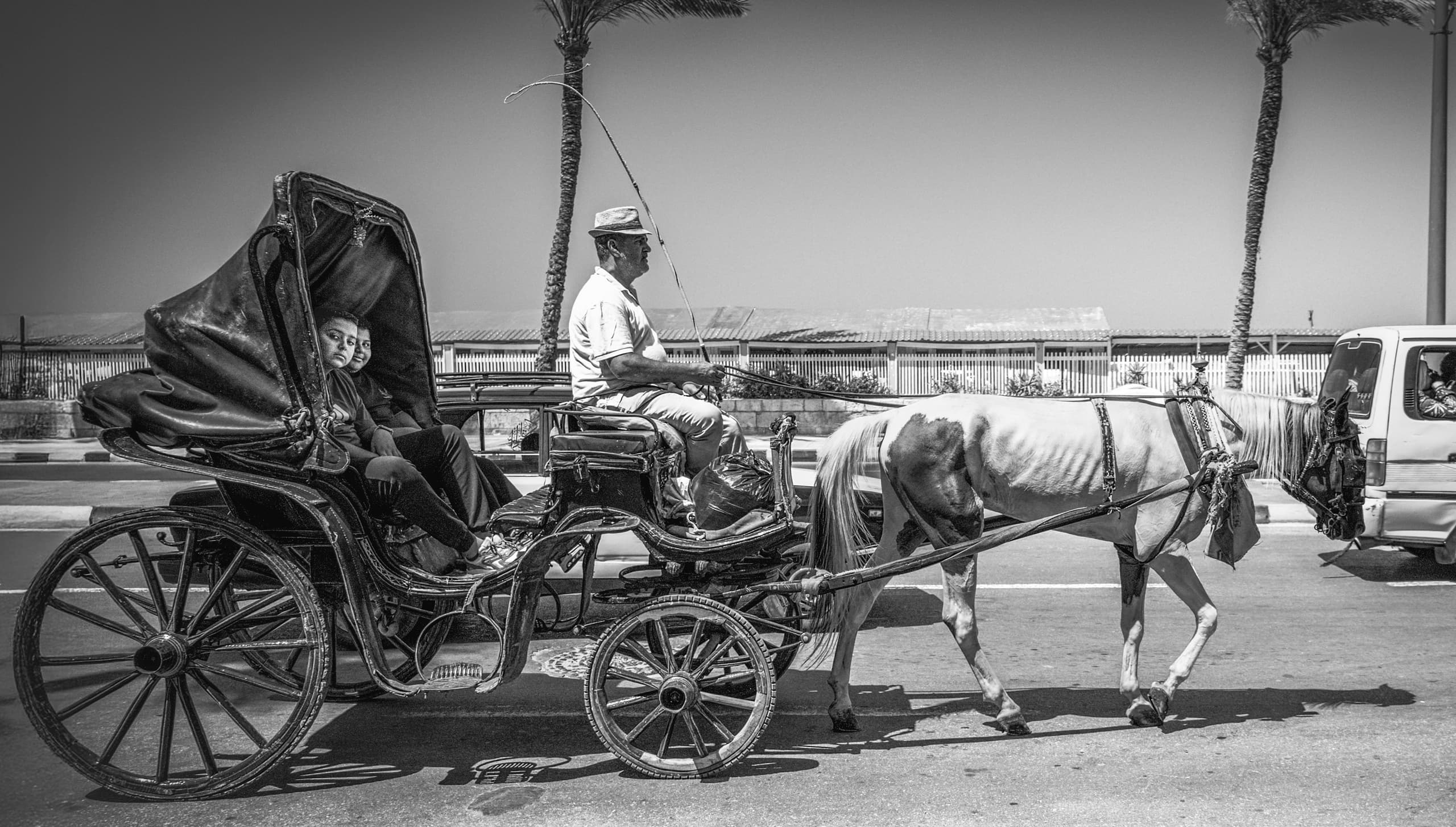 A black-and-white street photograph showing a horse-drawn carriage moving right on a paved road, driven by a man in a hat with two passengers seated inside the hooded cab, framed against palm trees and modern vehicles.