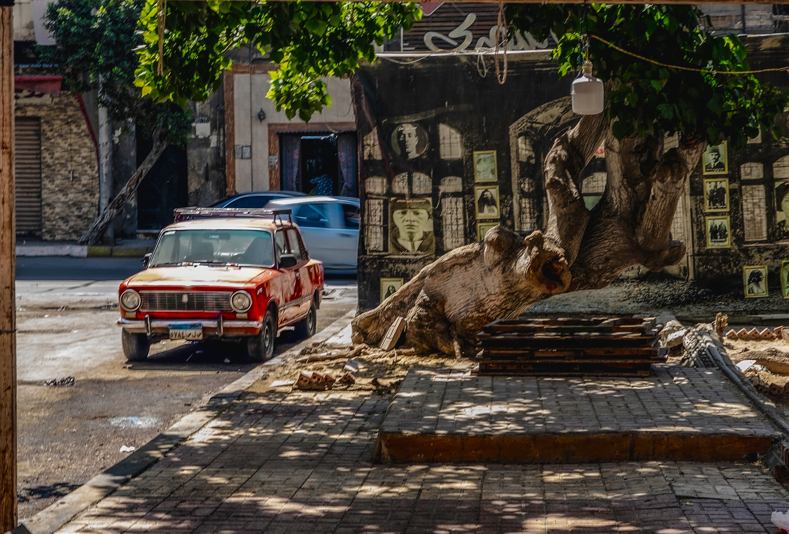 A vintage red car with a roof rack parked on an urban street next to a massive, curved tree trunk and a wall displaying portraits, viewed under dappled sunlight.