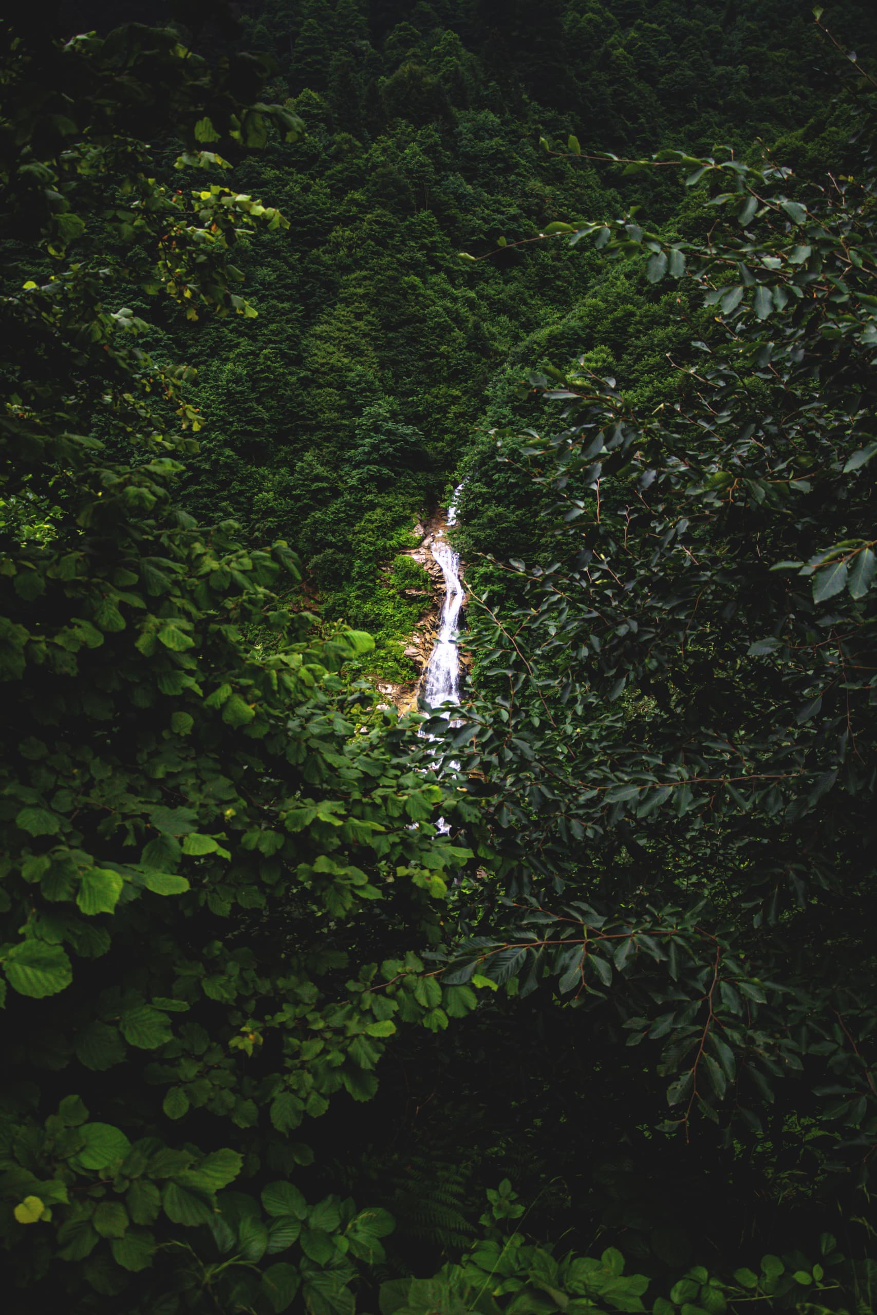 Nature Forest Waterfall Tarabzon, a fine-art photograph by Ali Abu Ras