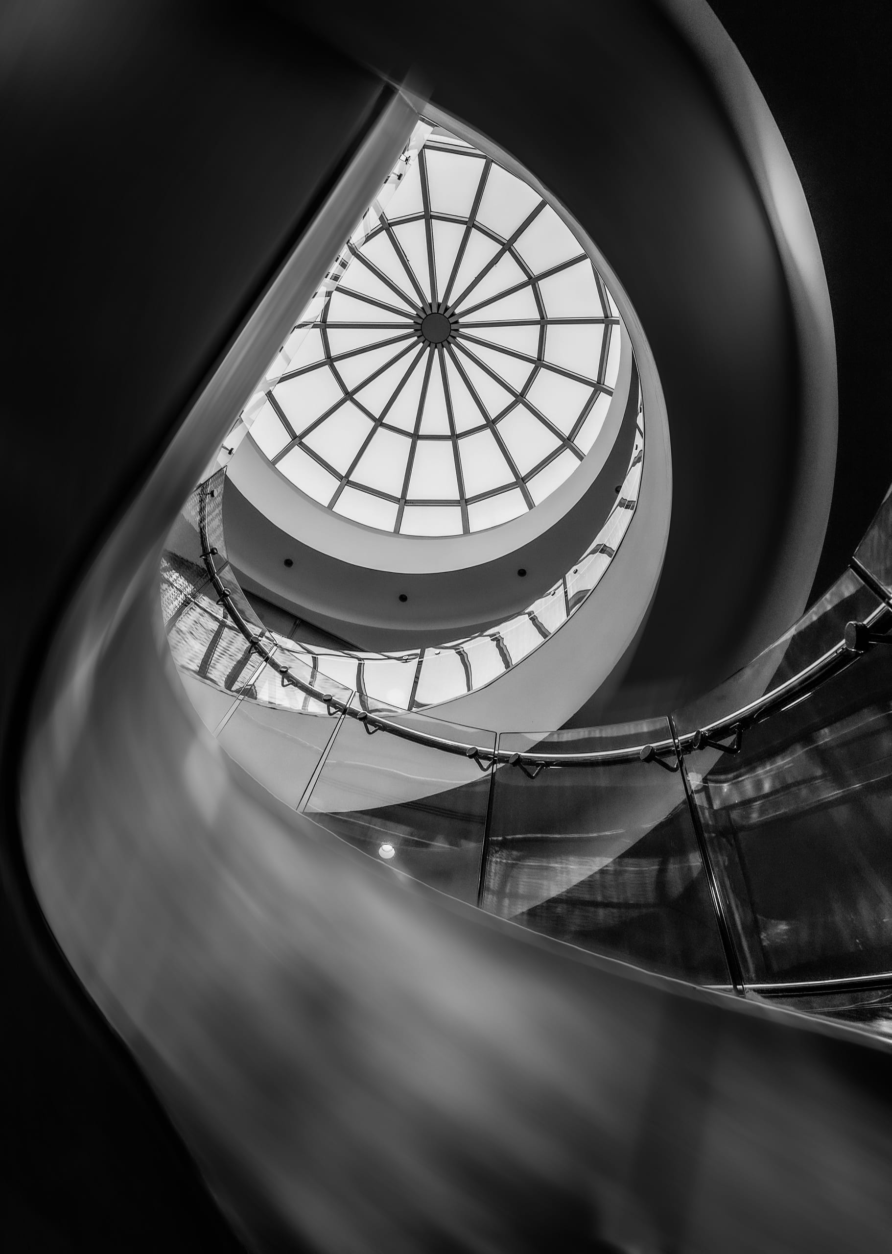 Stears 1, a fine-art photograph by Ali Abu Ras