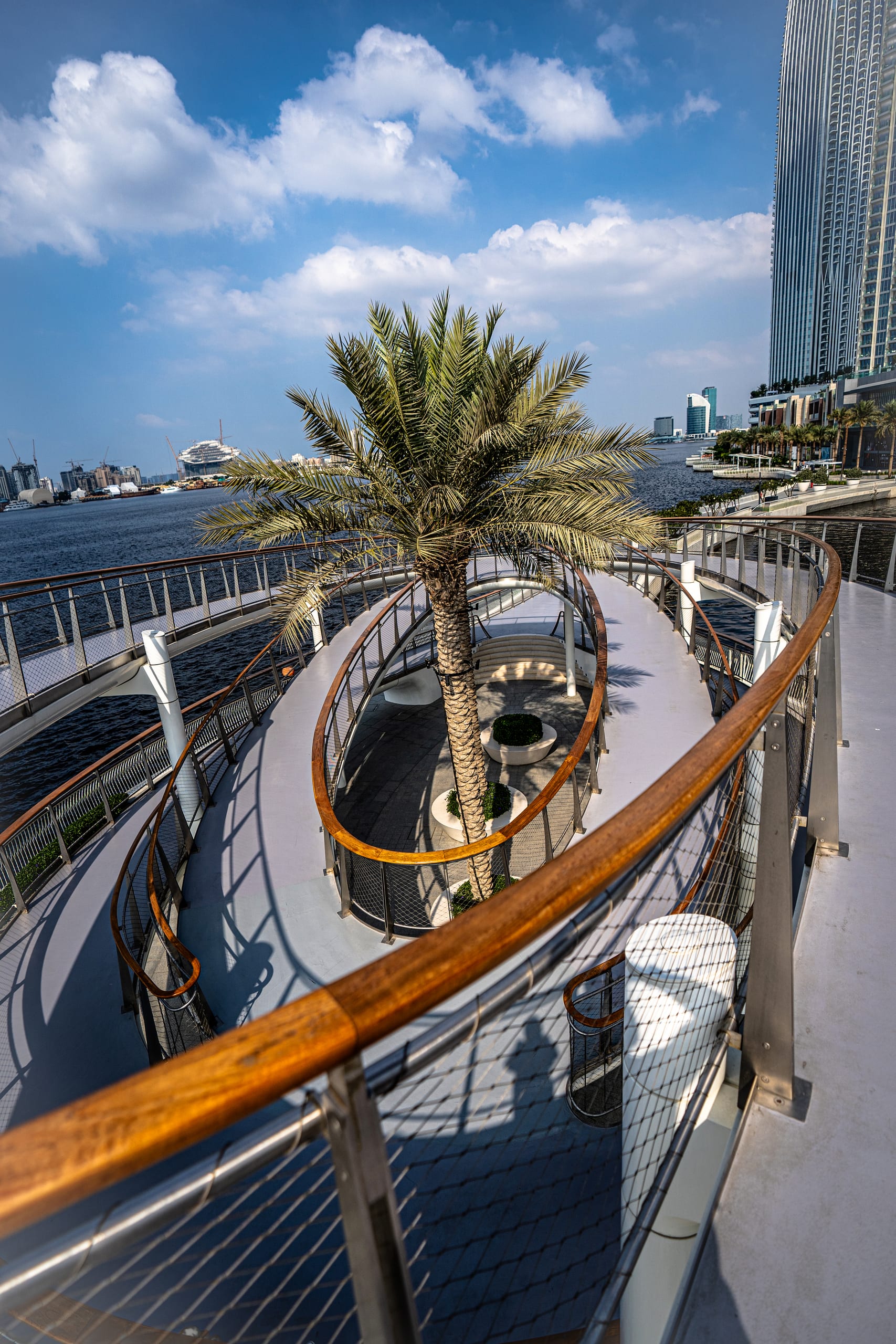 High-angle view of a curved pedestrian walkway with wooden handrails, featuring a large palm tree in a central oval cutout, overlooking a waterfront and high-rise buildings in the distance.