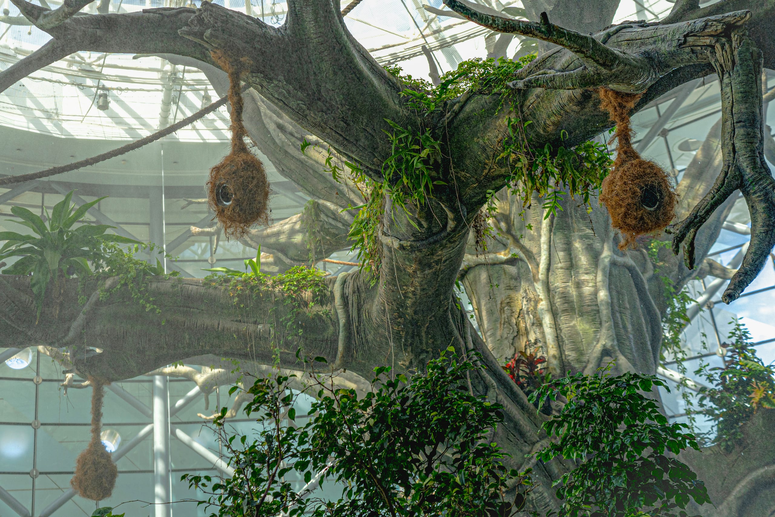 Low-angle view of a massive artificial tree structure with thick textured branches, hanging fibrous nests, and green foliage against an indoor glass and steel ceiling framework.