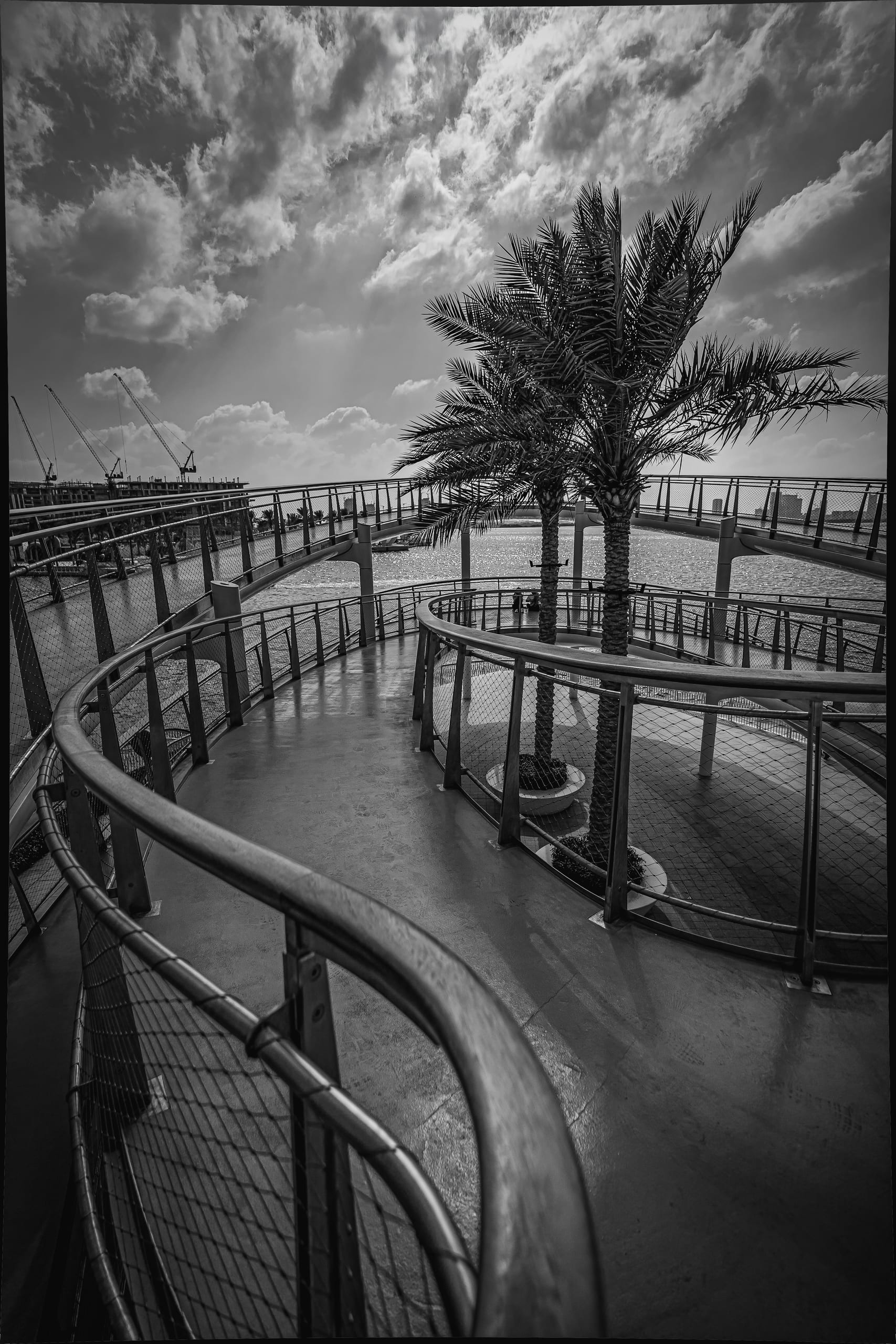 Monochrome architectural photograph of a curved outdoor walkway with metal railings and mesh fencing, featuring two palm trees in the center and distant construction cranes under a cloudy sky.