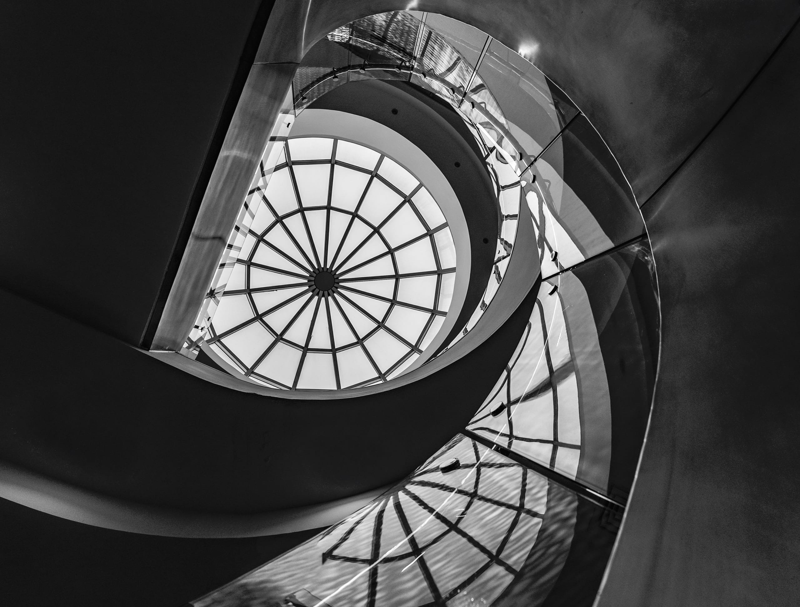 Stears, a fine-art photograph by Ali Abu Ras