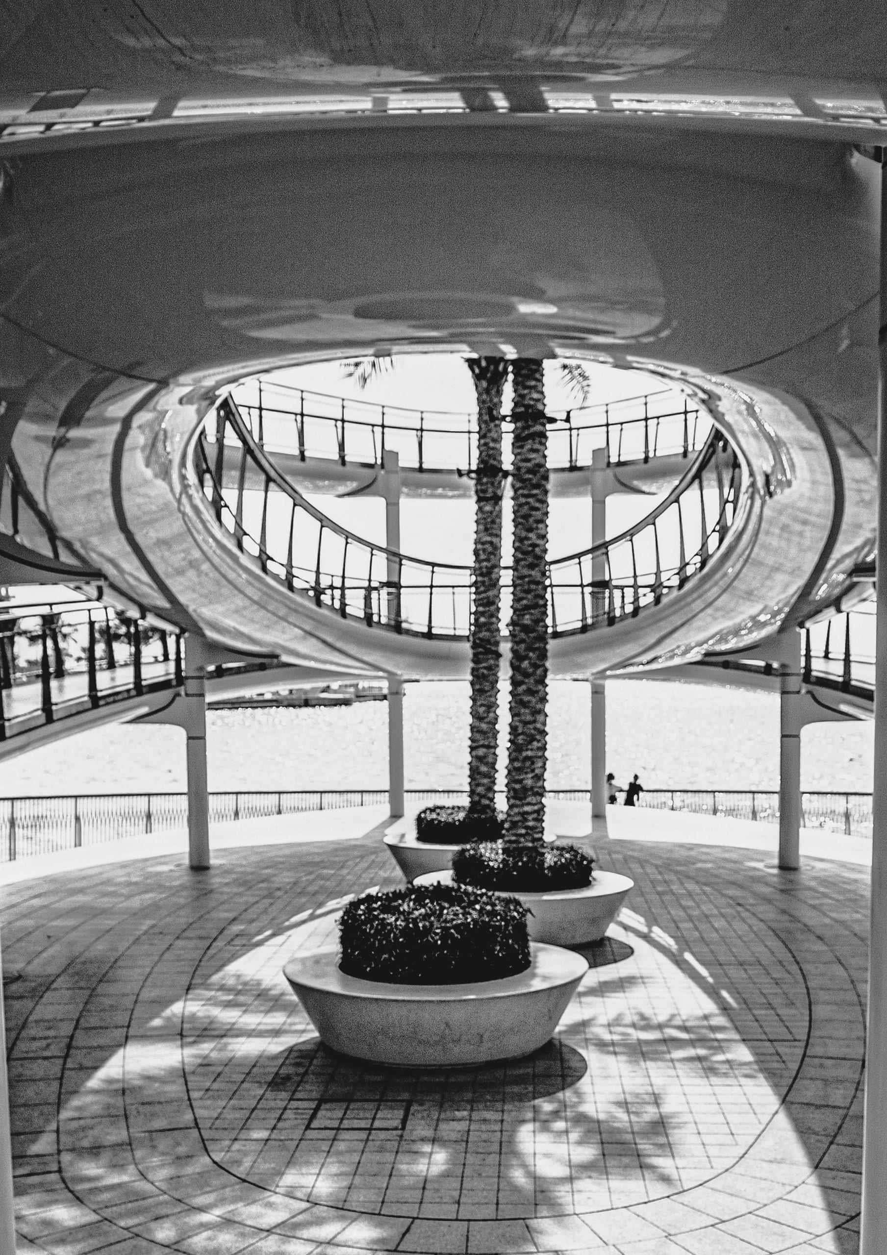 Black-and-white architectural shot looking through a large overhead circular opening in a white modern pavilion, framing palm trees, curved railings, tiled ground, and distant water.