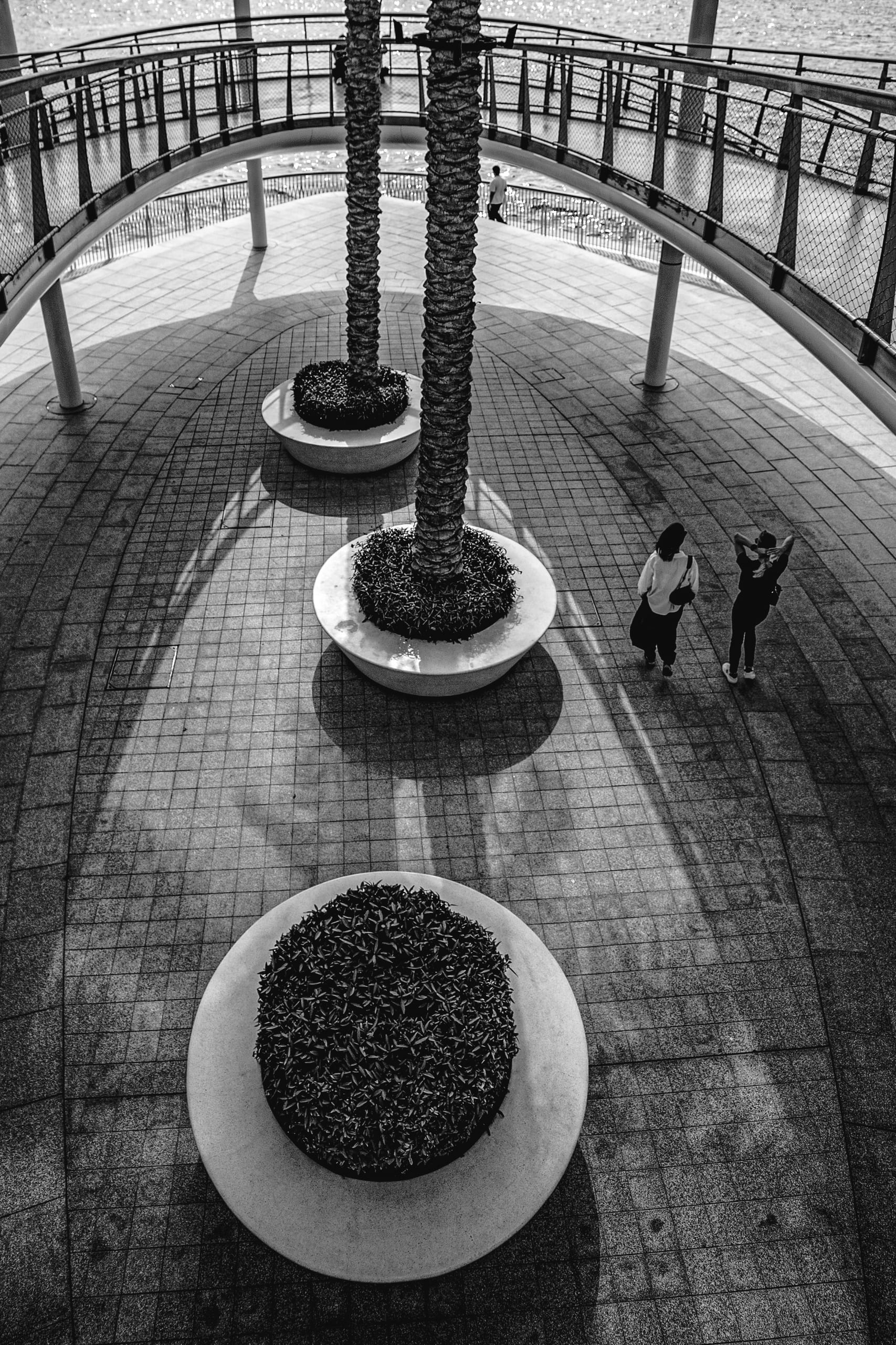 High-angle black and white photograph looking down onto a paved pedestrian level featuring three large circular planters with palm trees, a curved overhead walkway with railings, and two figures walking.