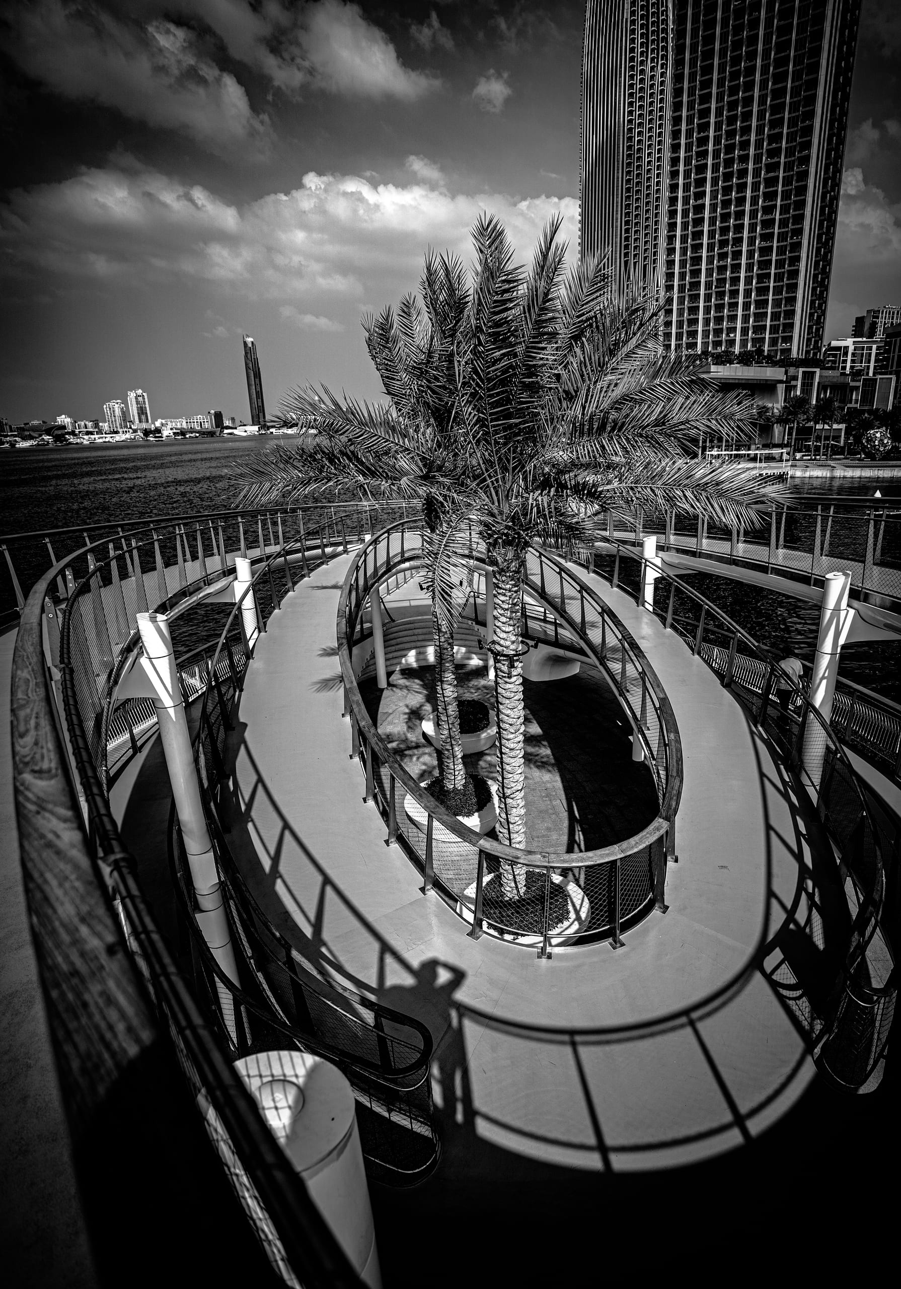 High-angle monochrome shot of an oval spiral walkway containing two palm trees, enclosed by railings with strong cast shadows. A tall skyscraper rises in the background next to water.