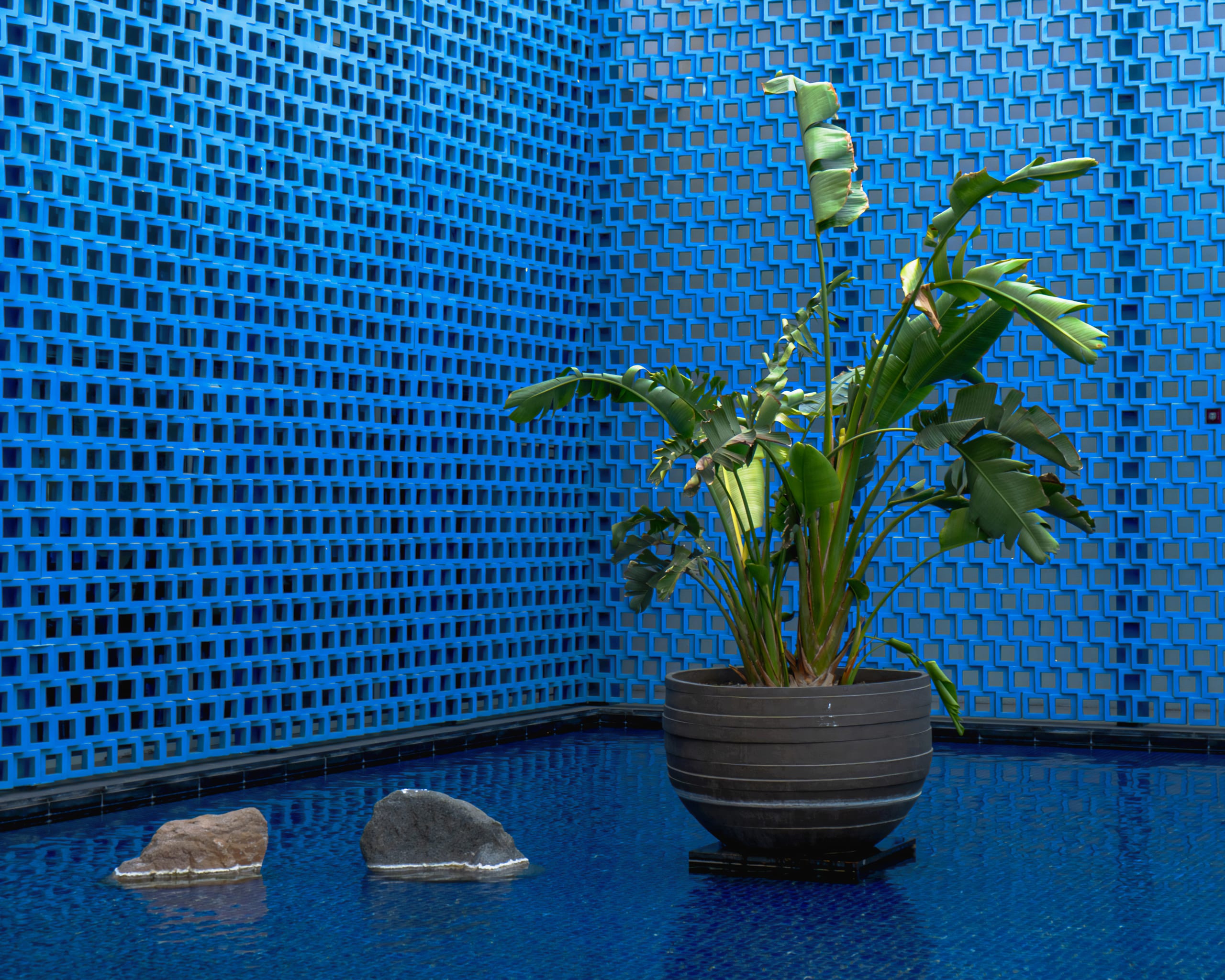 Architecture Blue Water Plant Green Hotel Hyatt, a fine-art photograph by Ali Abu Ras