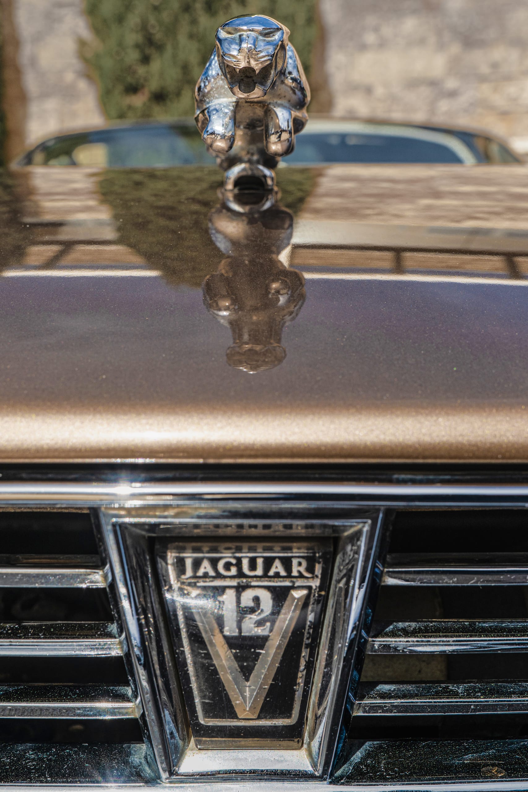 Cars, a fine-art photograph by Ali Abu Ras