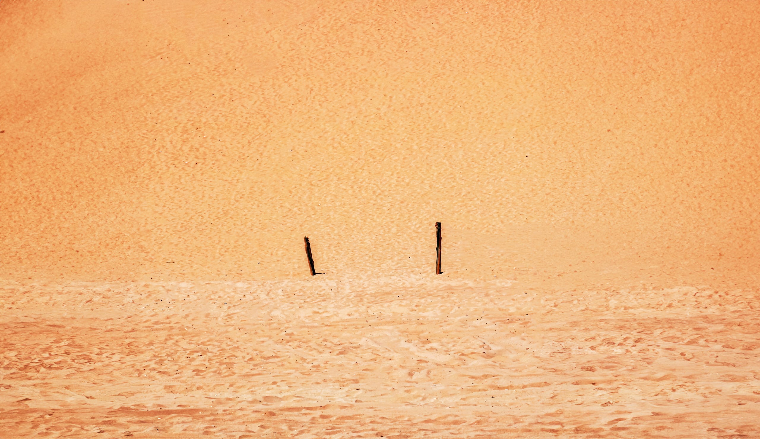Street People Camels Desert RUM, a fine-art photograph by Ali Abu Ras