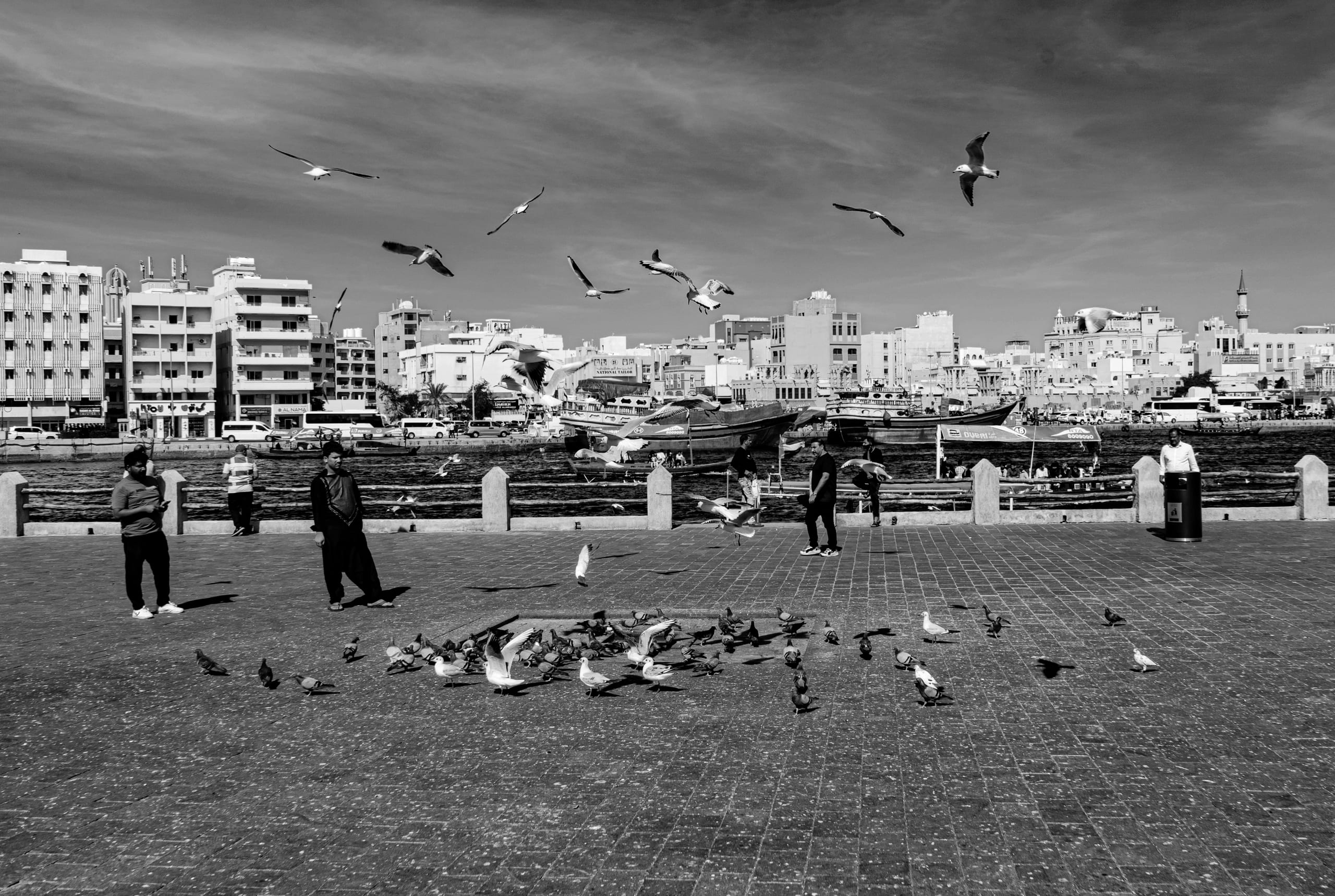 Peguen Dubai Water Birds, a fine-art photograph by Ali Abu Ras