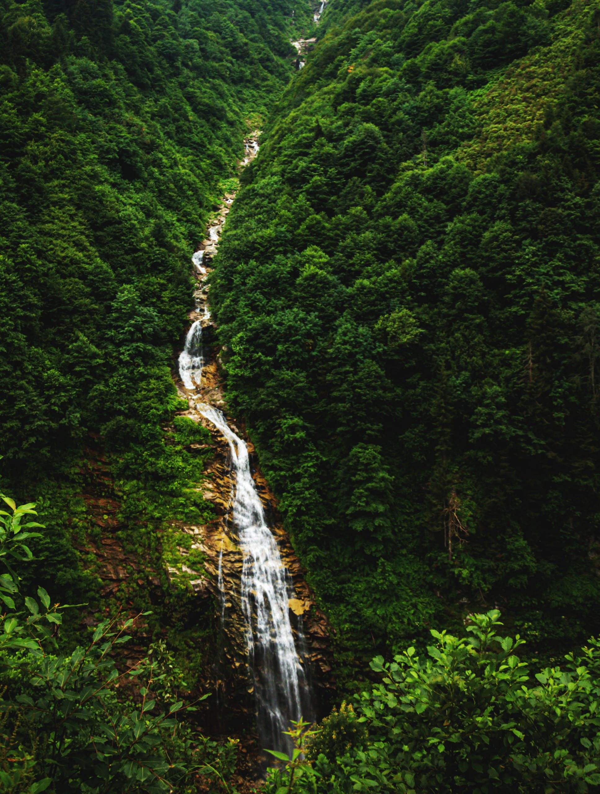 Nature Forest Waterfall Tarabzon, a fine-art photograph by Ali Abu Ras
