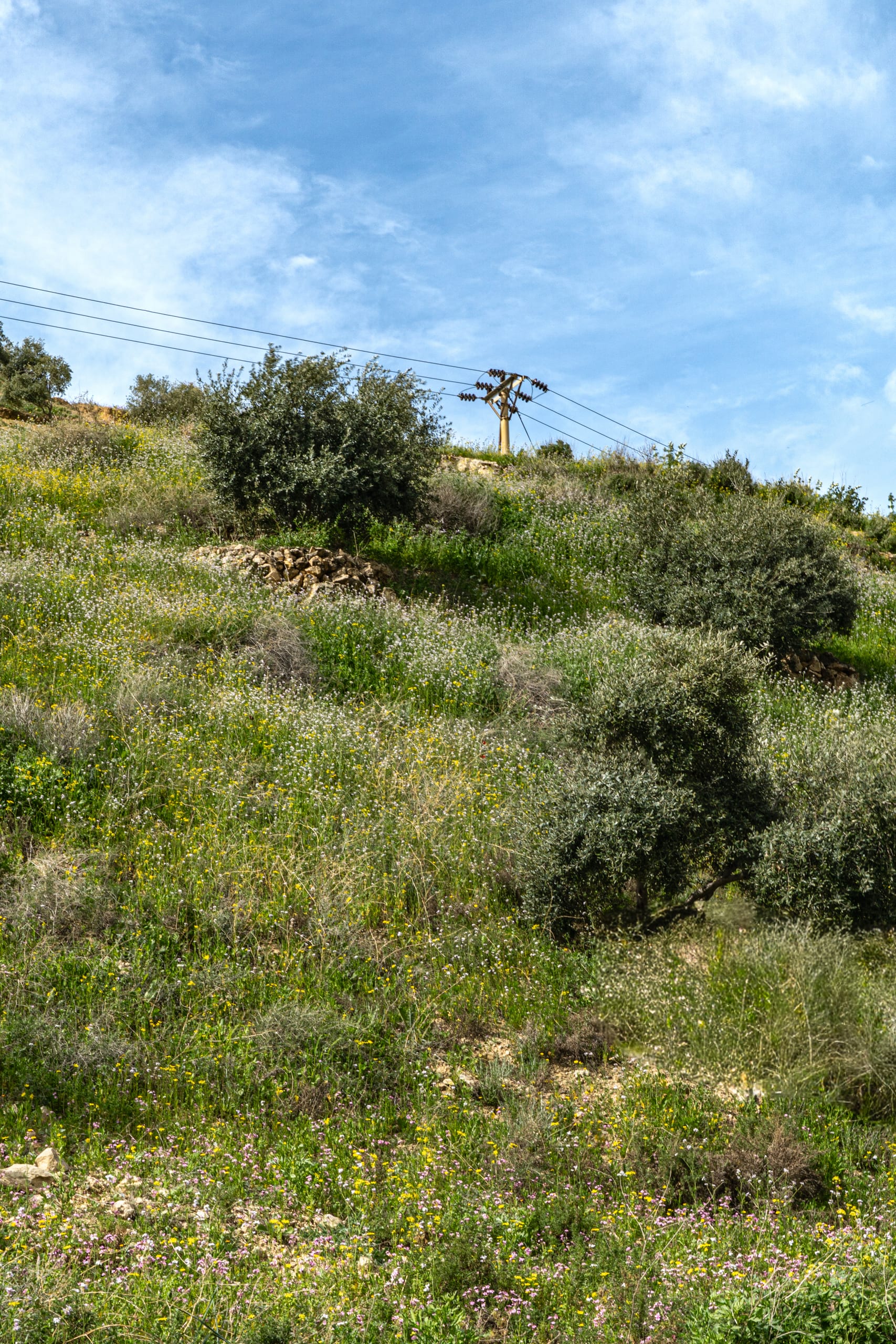 Pops Spring Ajlun, a fine-art photograph by Ali Abu Ras
