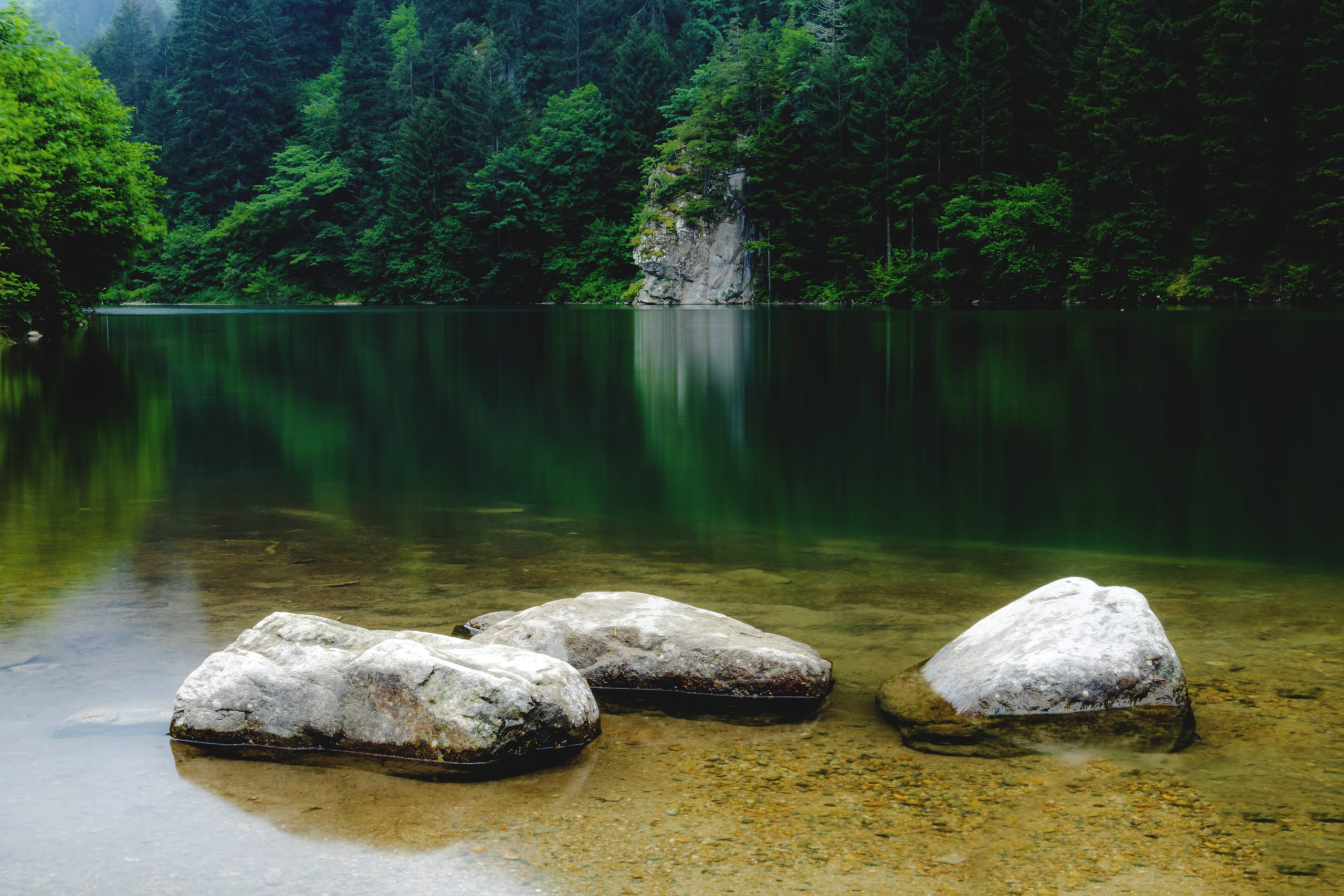 Trabzon Luck Green Water Trees 2, a fine-art photograph by Ali Abu Ras