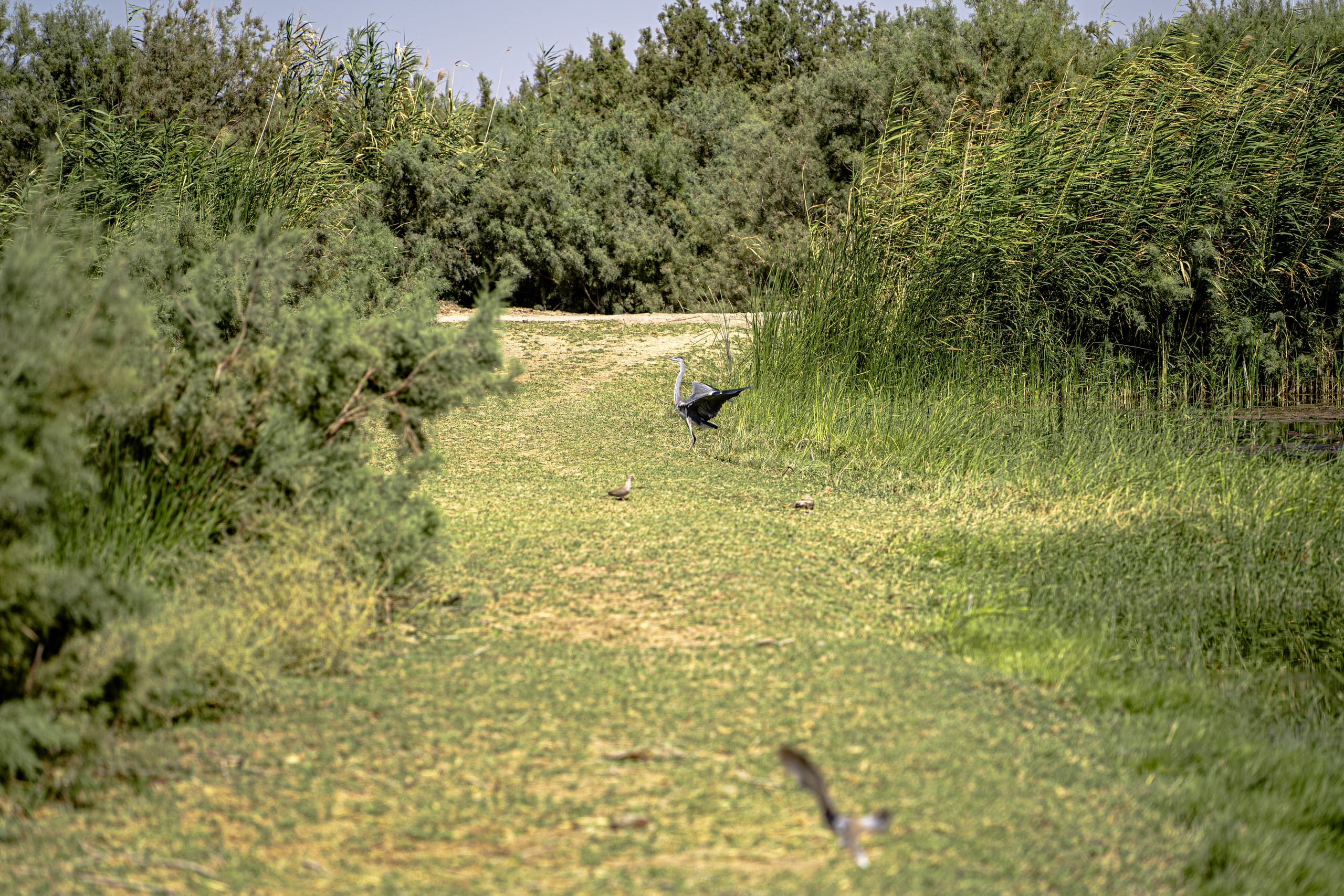 Untitled Study 001170, a fine-art photograph by Ali Abu Ras