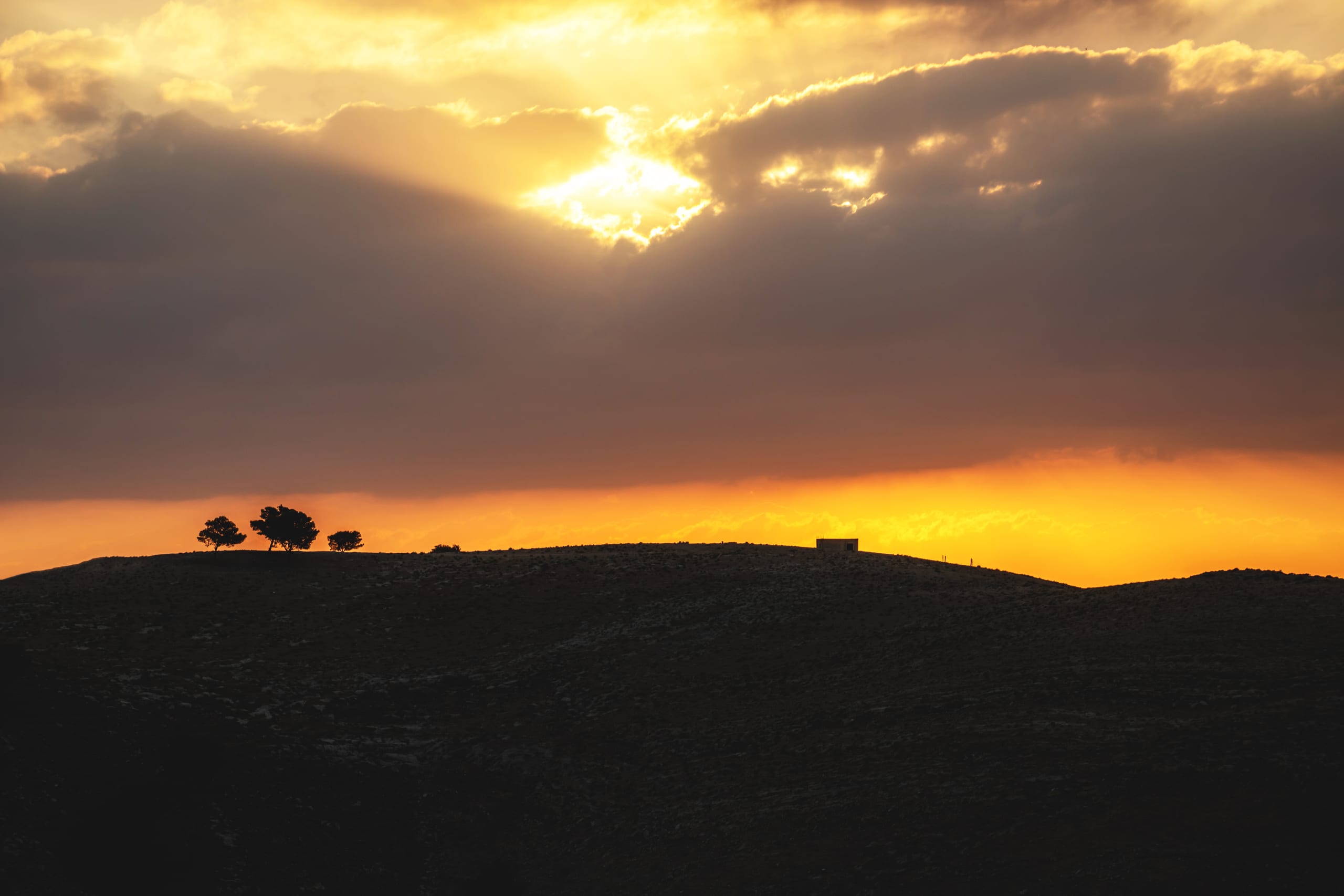 Madaba Sunset Trees Mount Hells, a fine-art photograph by Ali Abu Ras