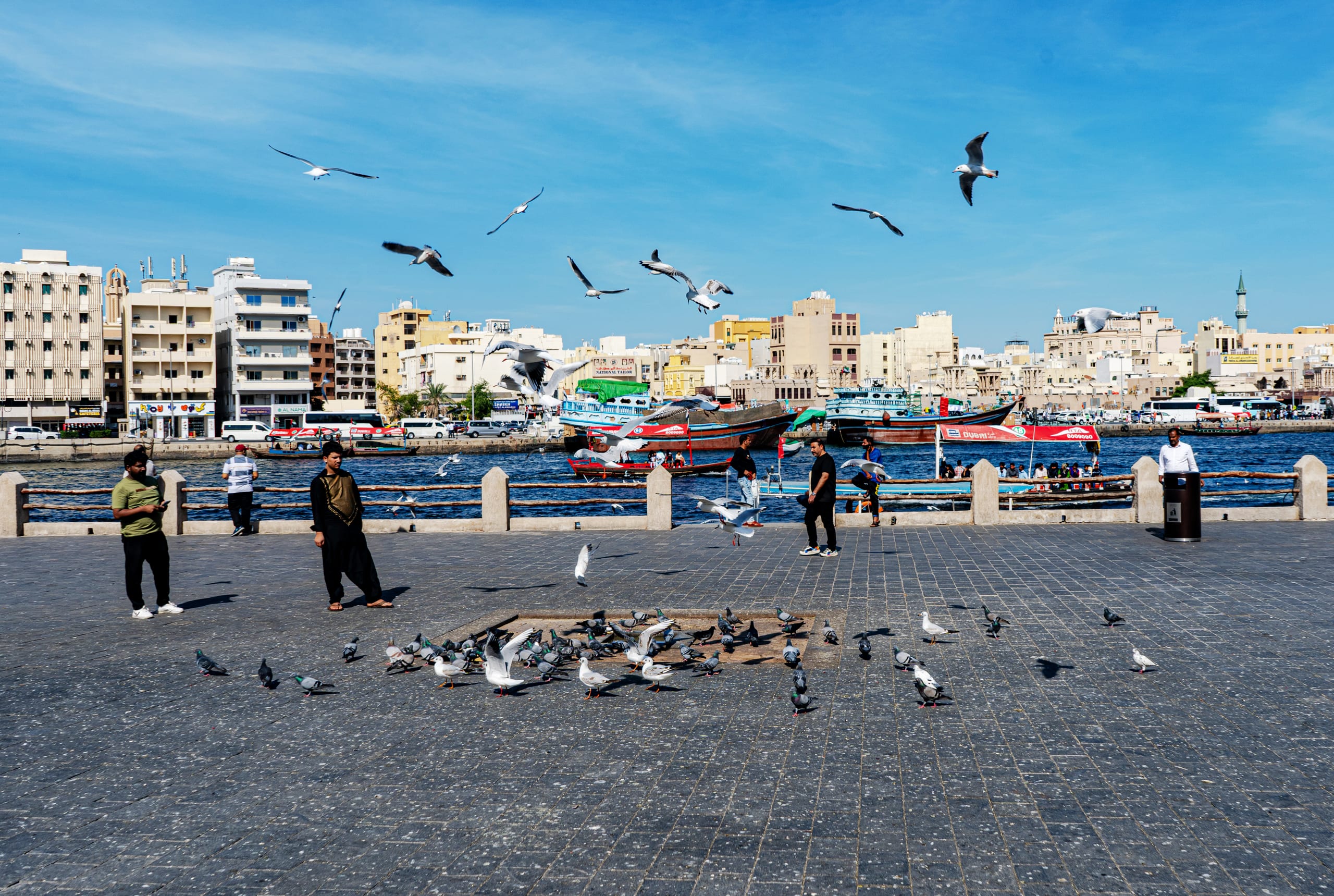 Peguen Dubai Water Birds, a fine-art photograph by Ali Abu Ras