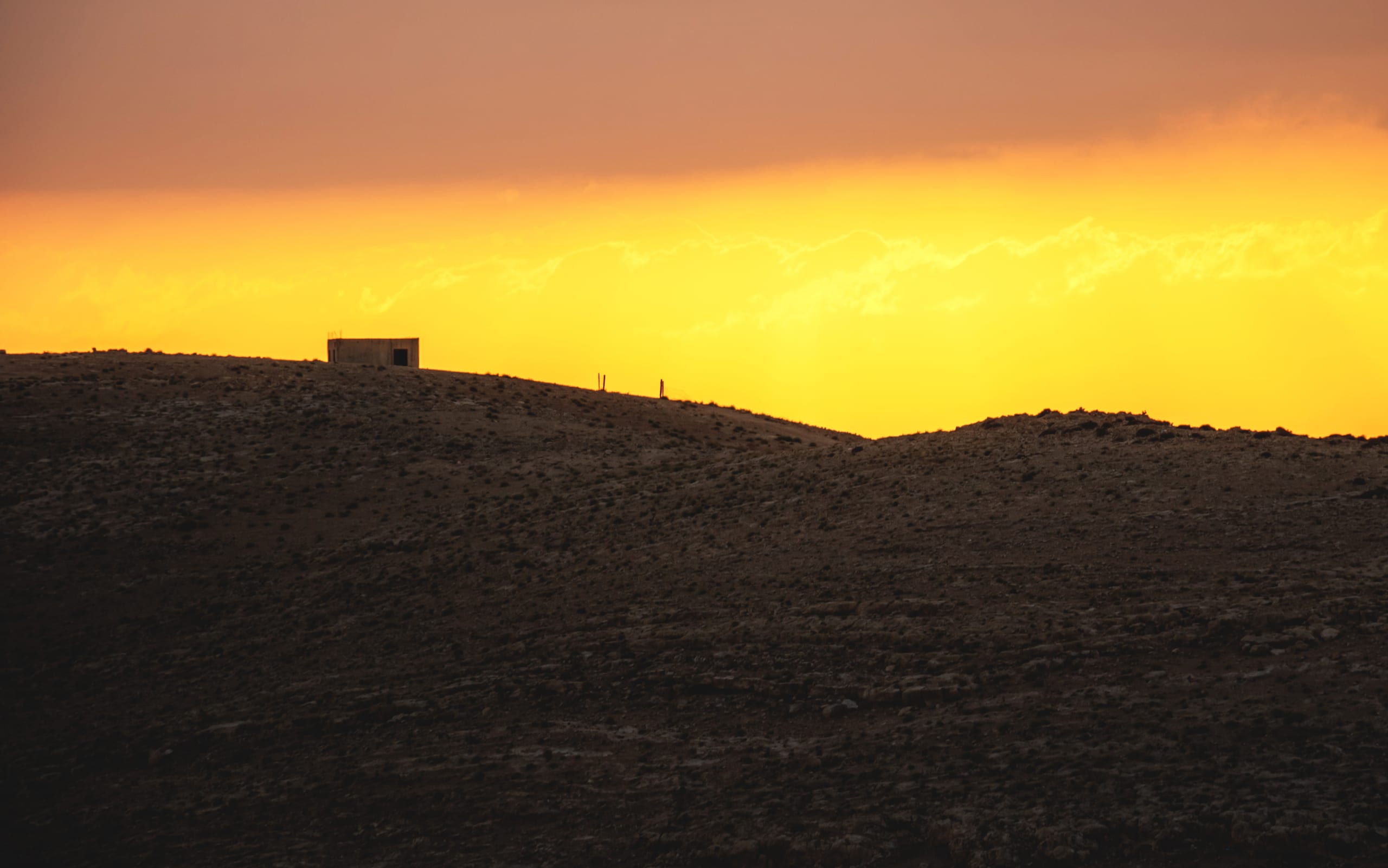 Madaba Sunset Trees Mount Hells, a fine-art photograph by Ali Abu Ras