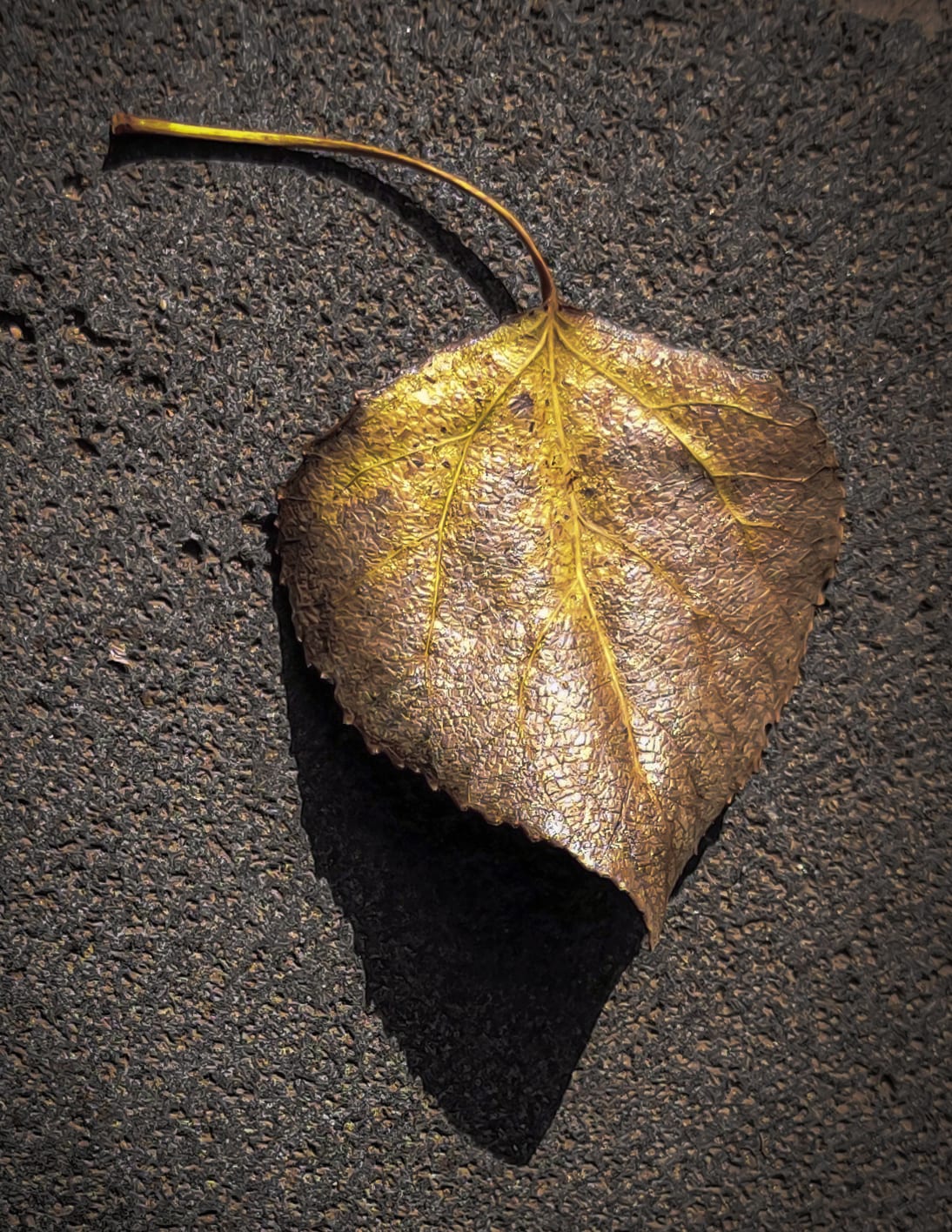 Leave Gold Fine ART, a fine-art photograph by Ali Abu Ras