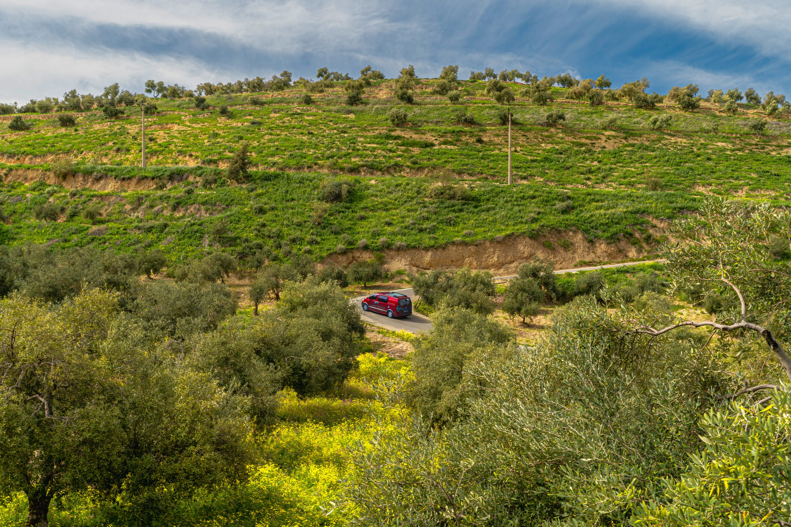 Flower Spring, a fine-art photograph by Ali Abu Ras