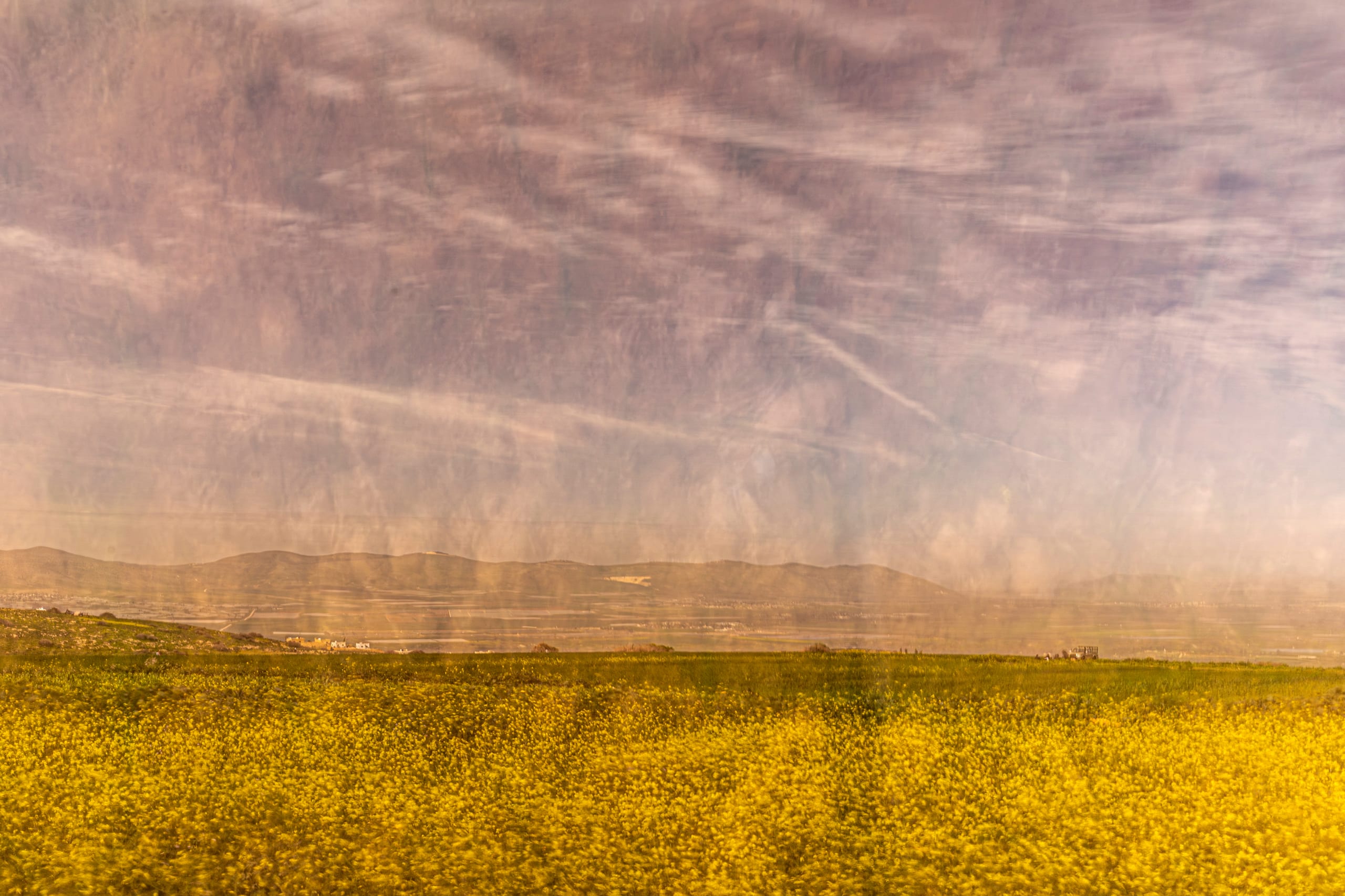 Flower Spring, a fine-art photograph by Ali Abu Ras