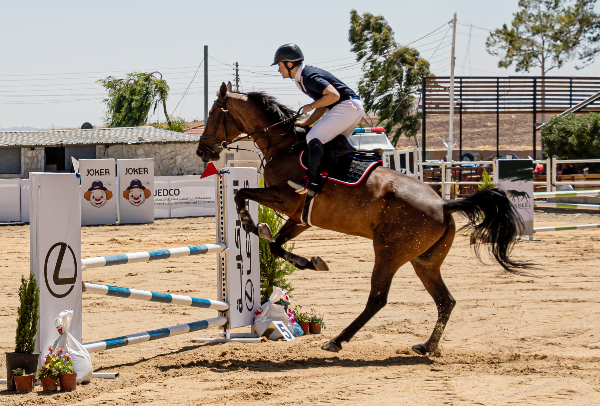 BOY Horse Riding, a fine-art photograph by Ali Abu Ras