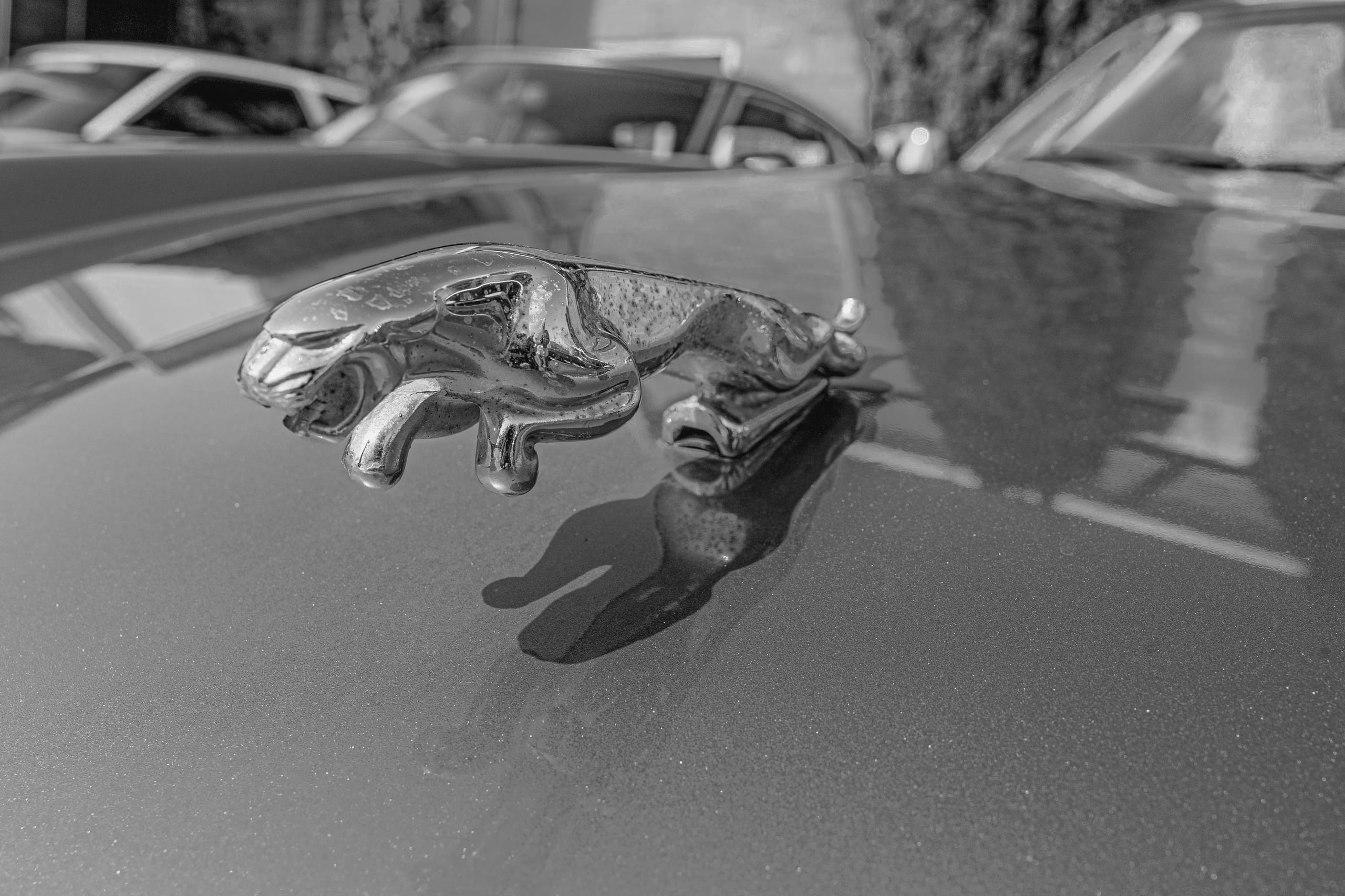 Cars 1, a fine-art photograph by Ali Abu Ras