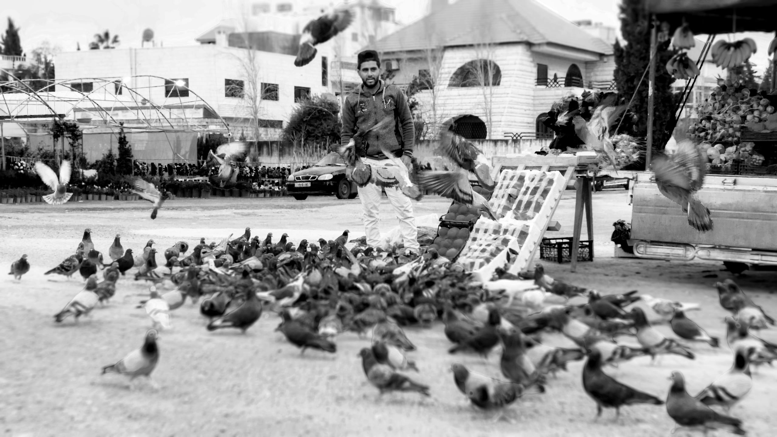 People Seller AND Birds 3, a fine-art photograph by Ali Abu Ras