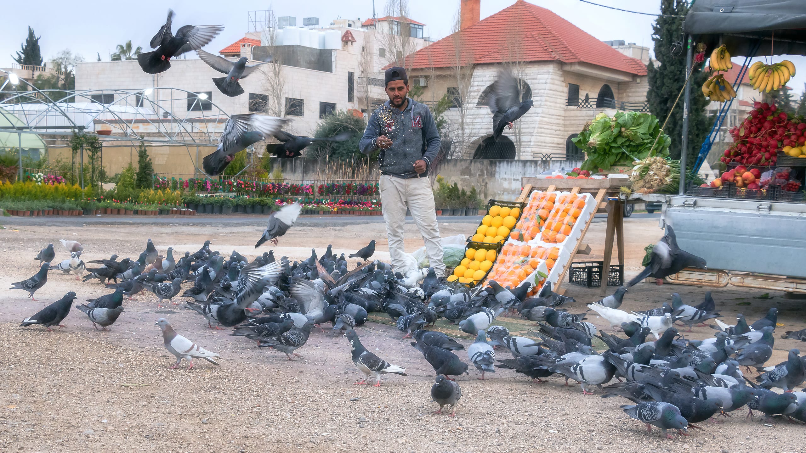 People Seller AND Birds 2, a fine-art photograph by Ali Abu Ras