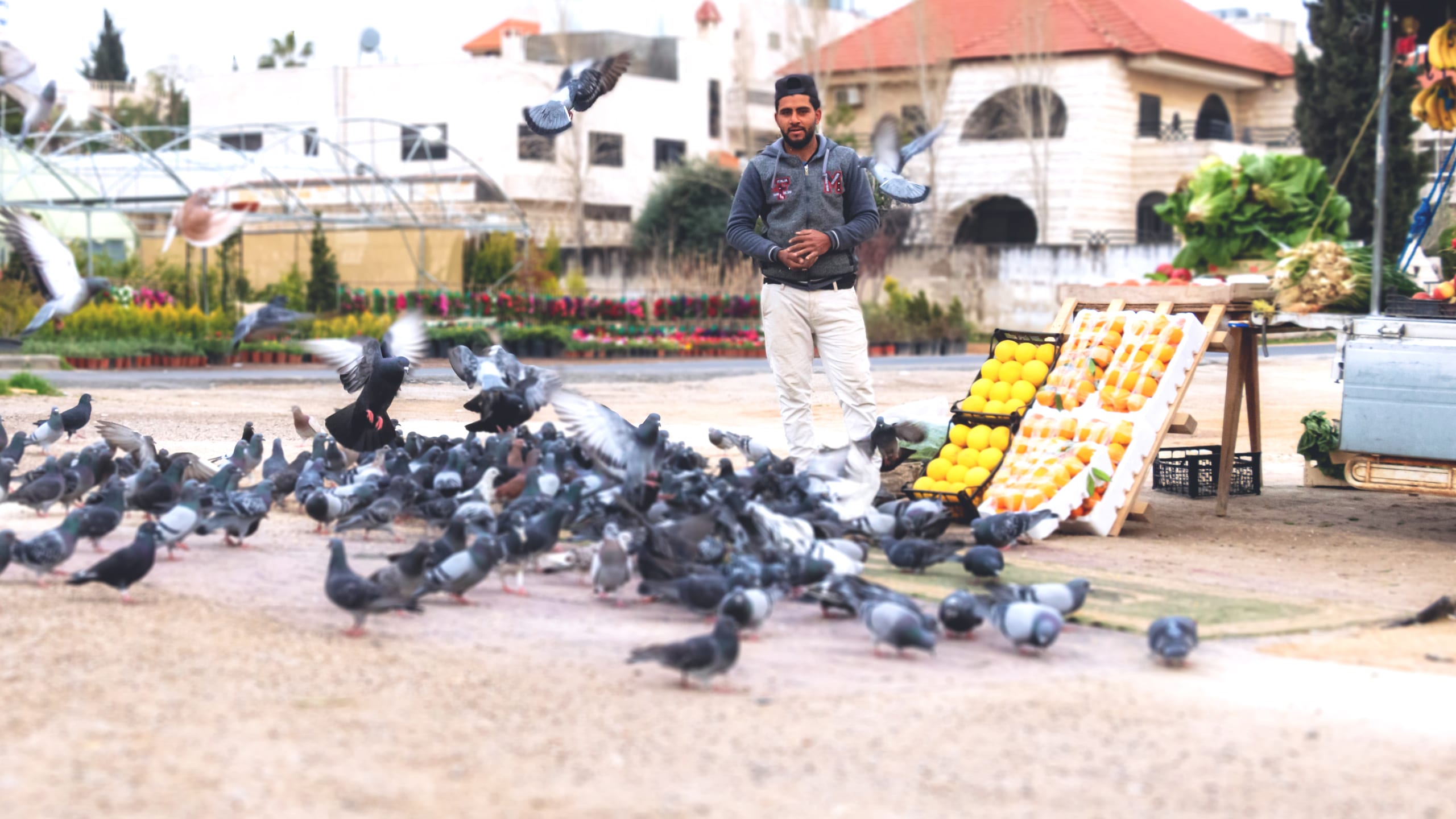 People Seller AND Birds 1, a fine-art photograph by Ali Abu Ras