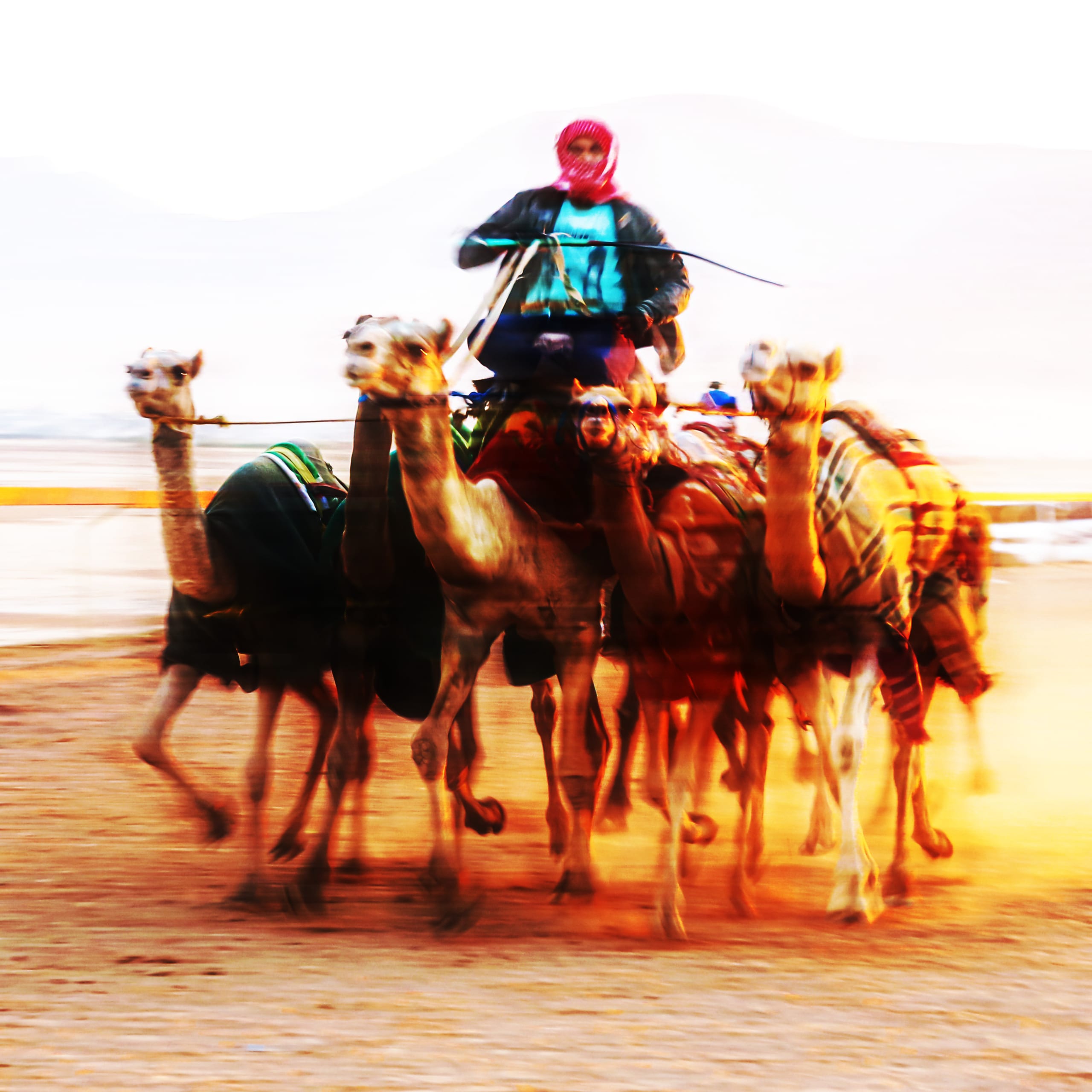 Action shot of several harnessed camels racing across a dusty track, accompanied by motion blur, with a rider centered prominently on horseback or camelback wearing a red headscarf.