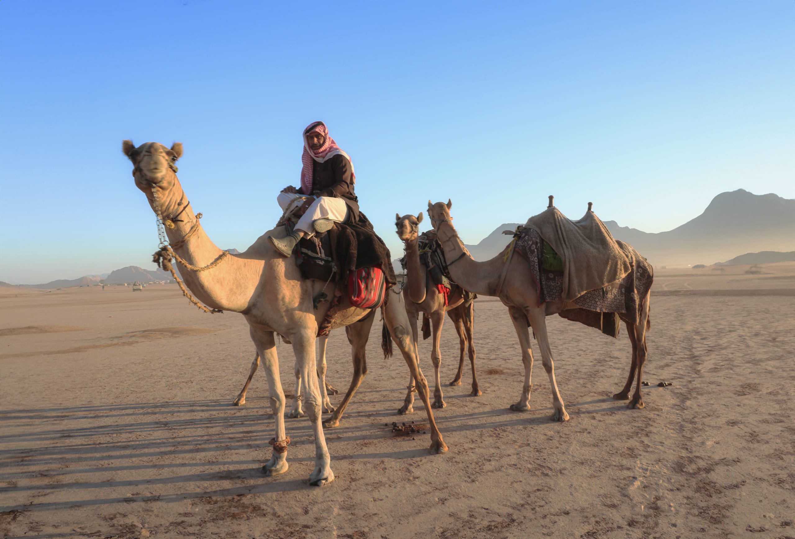 A man in traditional garments rides a camel at the front of a small caravan of saddled camels standing in a wide, sandy desert under a clear blue sky, casting long shadows.