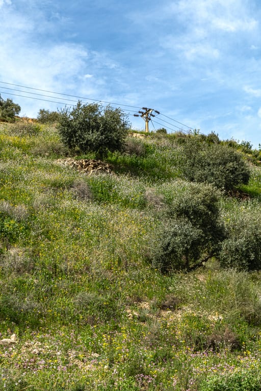 Pops Spring Ajlun, a fine-art photograph by Ali Abu Ras