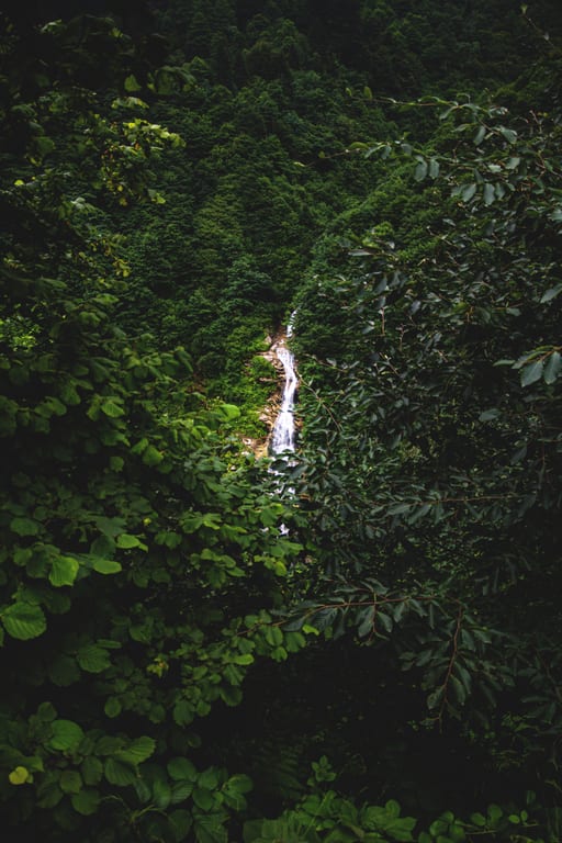 Nature Forest Waterfall Tarabzon, a fine-art photograph by Ali Abu Ras