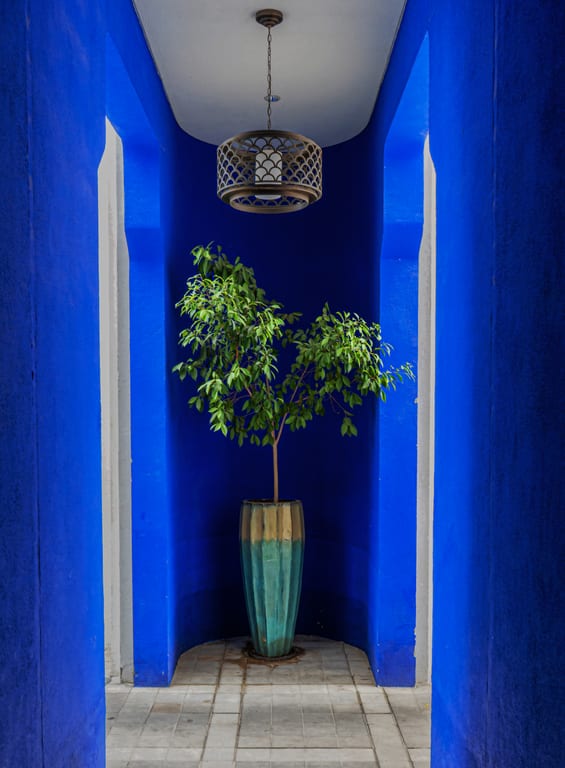 Architecture Ayla Houses Blue Tree, a fine-art photograph by Ali Abu Ras
