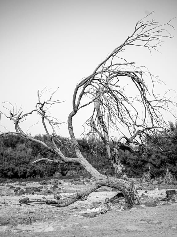Untitled Study 001197, a fine-art photograph by Ali Abu Ras