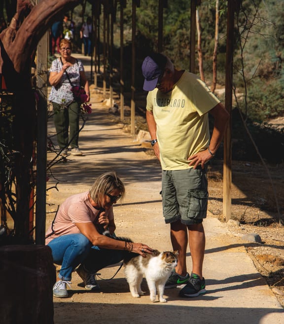 Madaba CAT Deadsea, a fine-art photograph by Ali Abu Ras