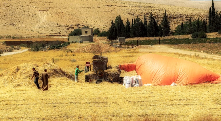 Wide-angle landscape photograph of an agricultural field with golden stubble, featuring three working figures near a thresher machine and a massive orange harvest bag, backed by rolling arid hills and tall green trees.