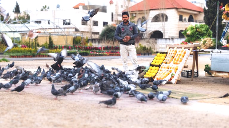 People Seller AND Birds 1, a fine-art photograph by Ali Abu Ras