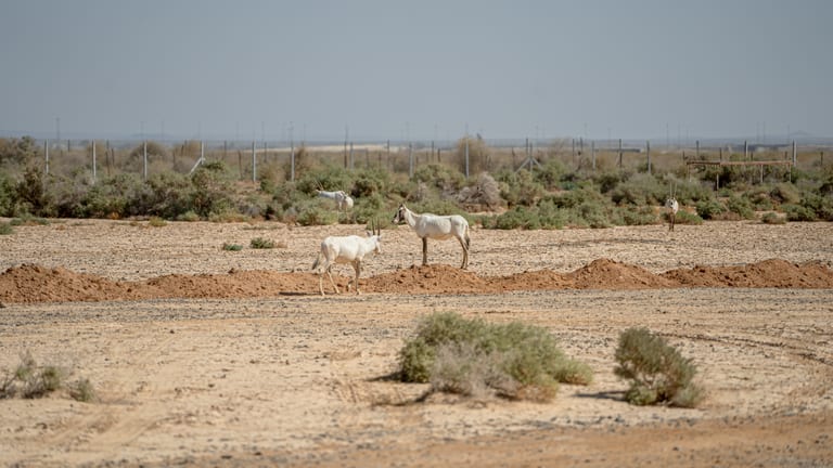 Untitled Study 001153, a fine-art photograph by Ali Abu Ras