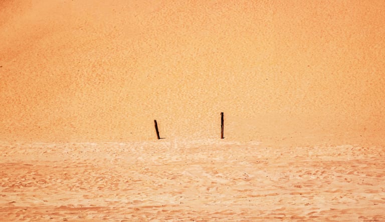 Street People Camels Desert RUM, a fine-art photograph by Ali Abu Ras
